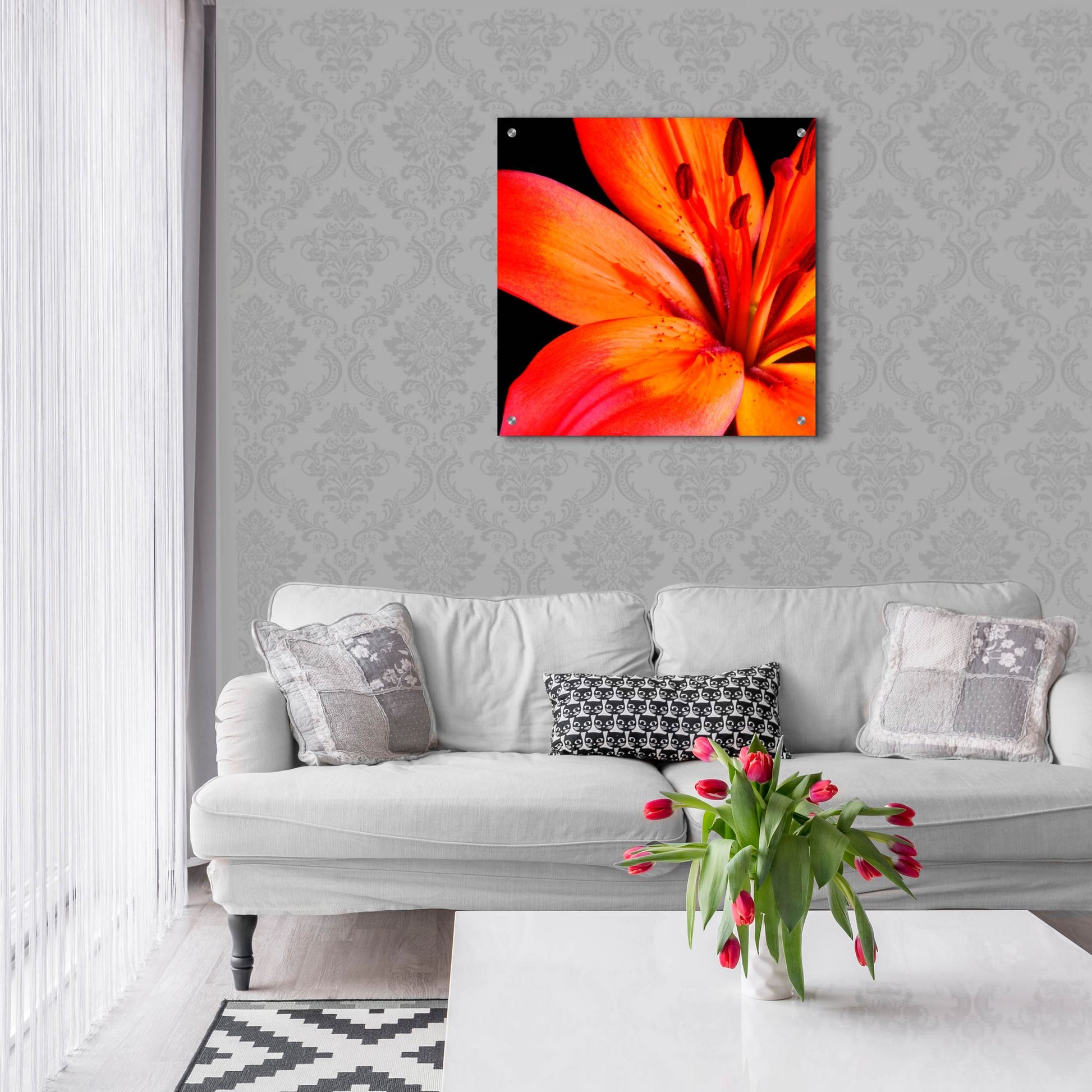 Epic Art 'Orange Flower on Black 02' by Tom Quartermaine, Acrylic Glass Wall Art,24x24