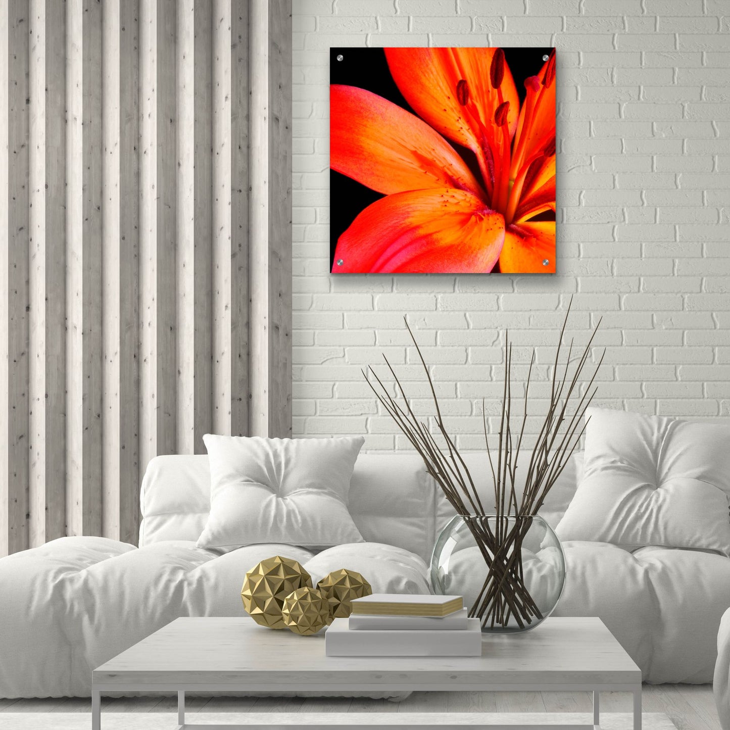 Epic Art 'Orange Flower on Black 02' by Tom Quartermaine, Acrylic Glass Wall Art,24x24