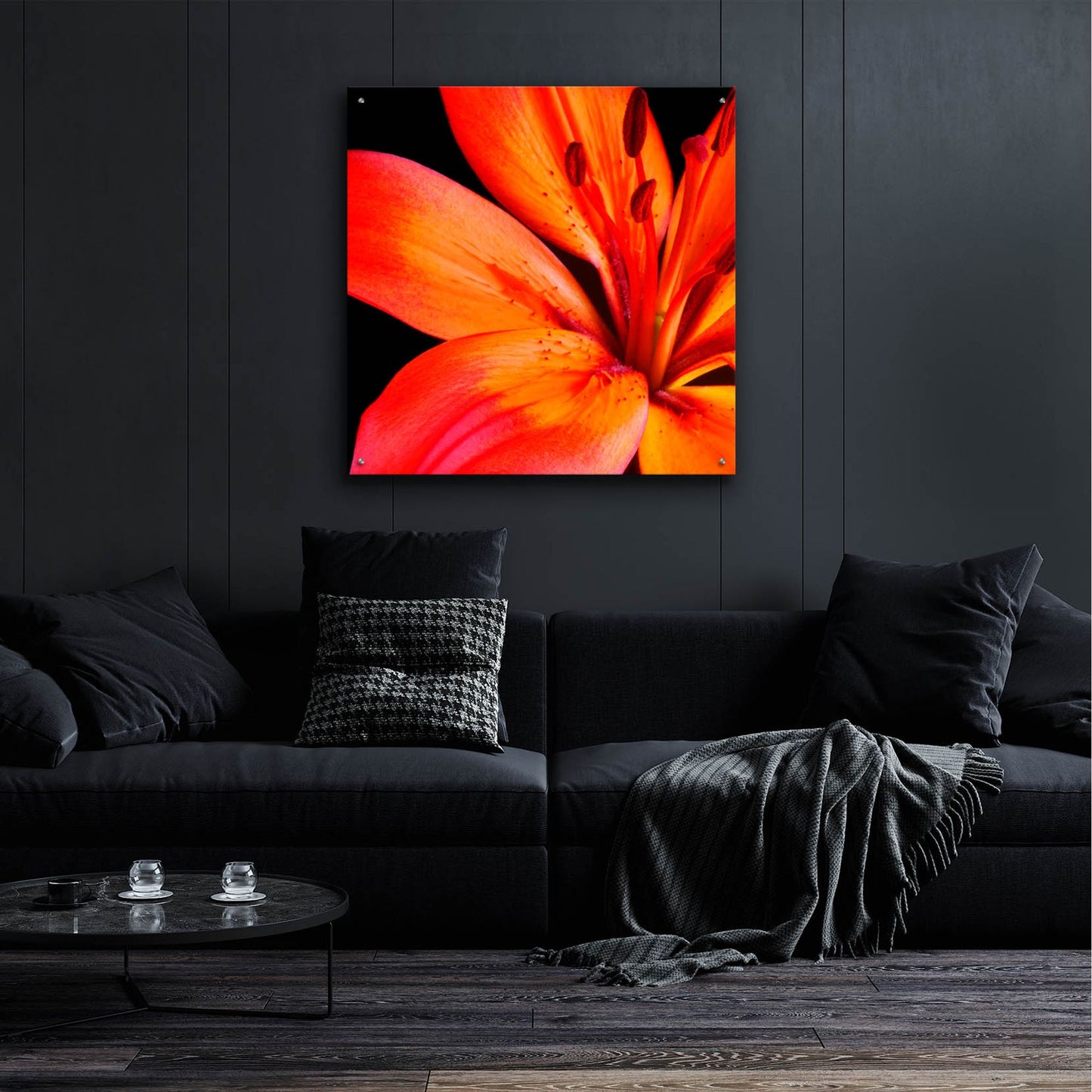 Epic Art 'Orange Flower on Black 02' by Tom Quartermaine, Acrylic Glass Wall Art,36x36