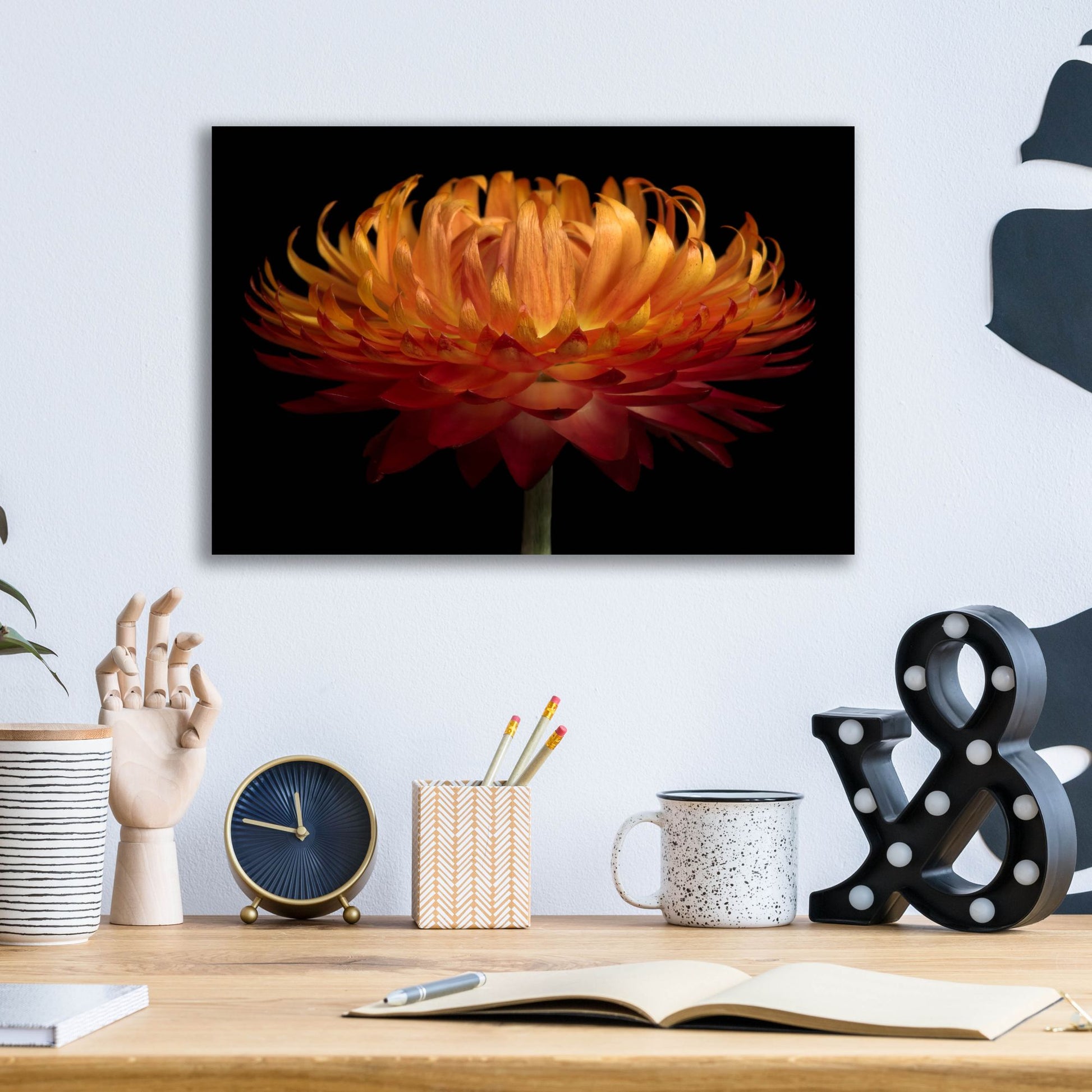 Epic Art 'Orange Flower on Black' by Tom Quartermaine, Acrylic Glass Wall Art,16x12