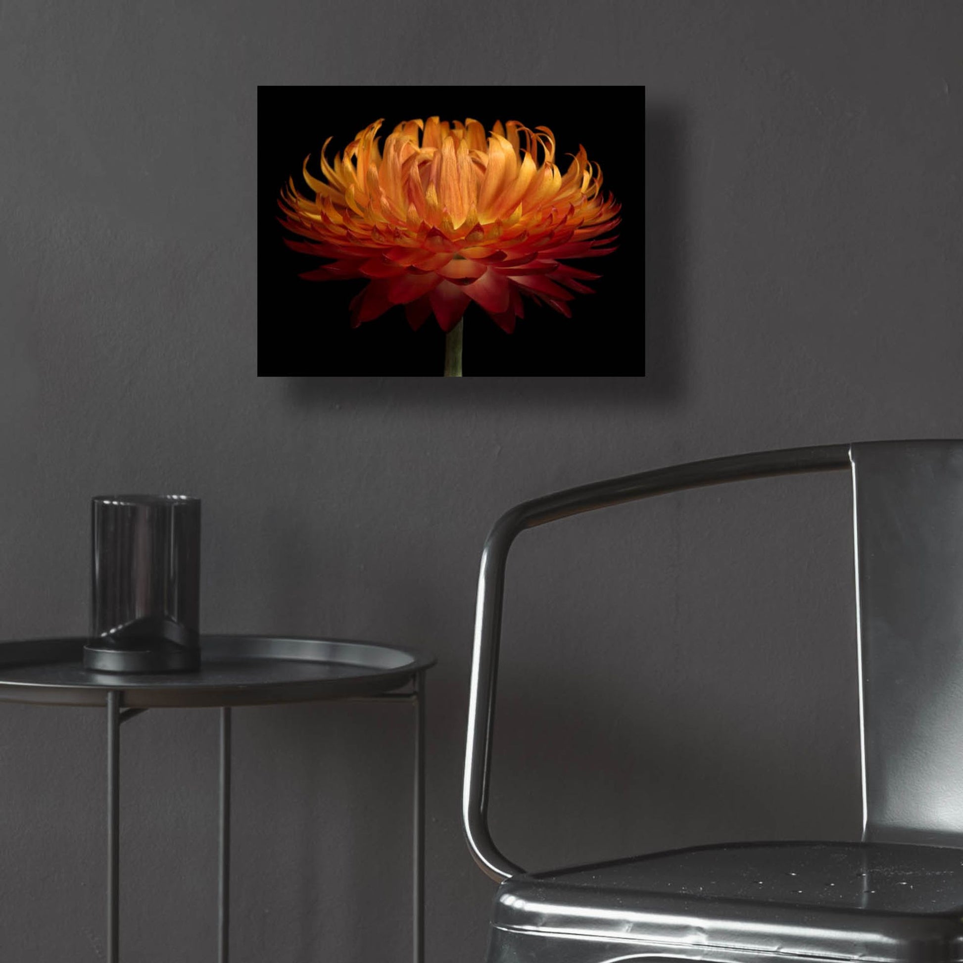 Epic Art 'Orange Flower on Black' by Tom Quartermaine, Acrylic Glass Wall Art,16x12