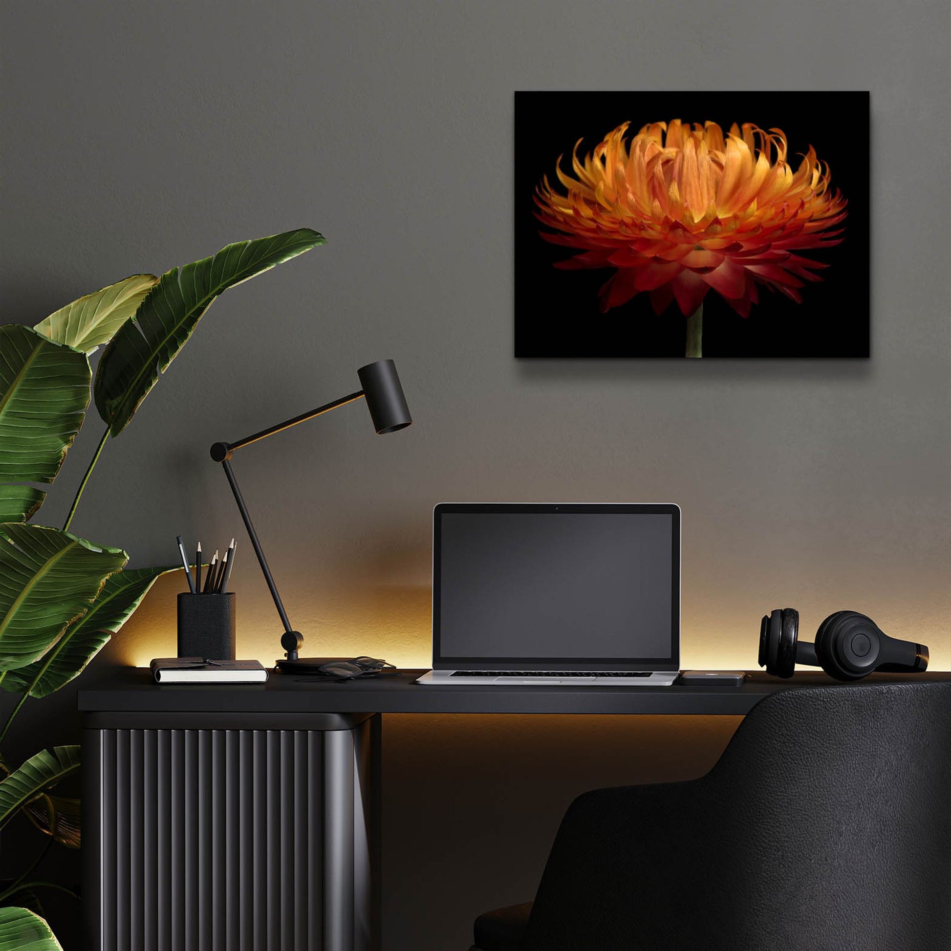 Epic Art 'Orange Flower on Black' by Tom Quartermaine, Acrylic Glass Wall Art,16x12