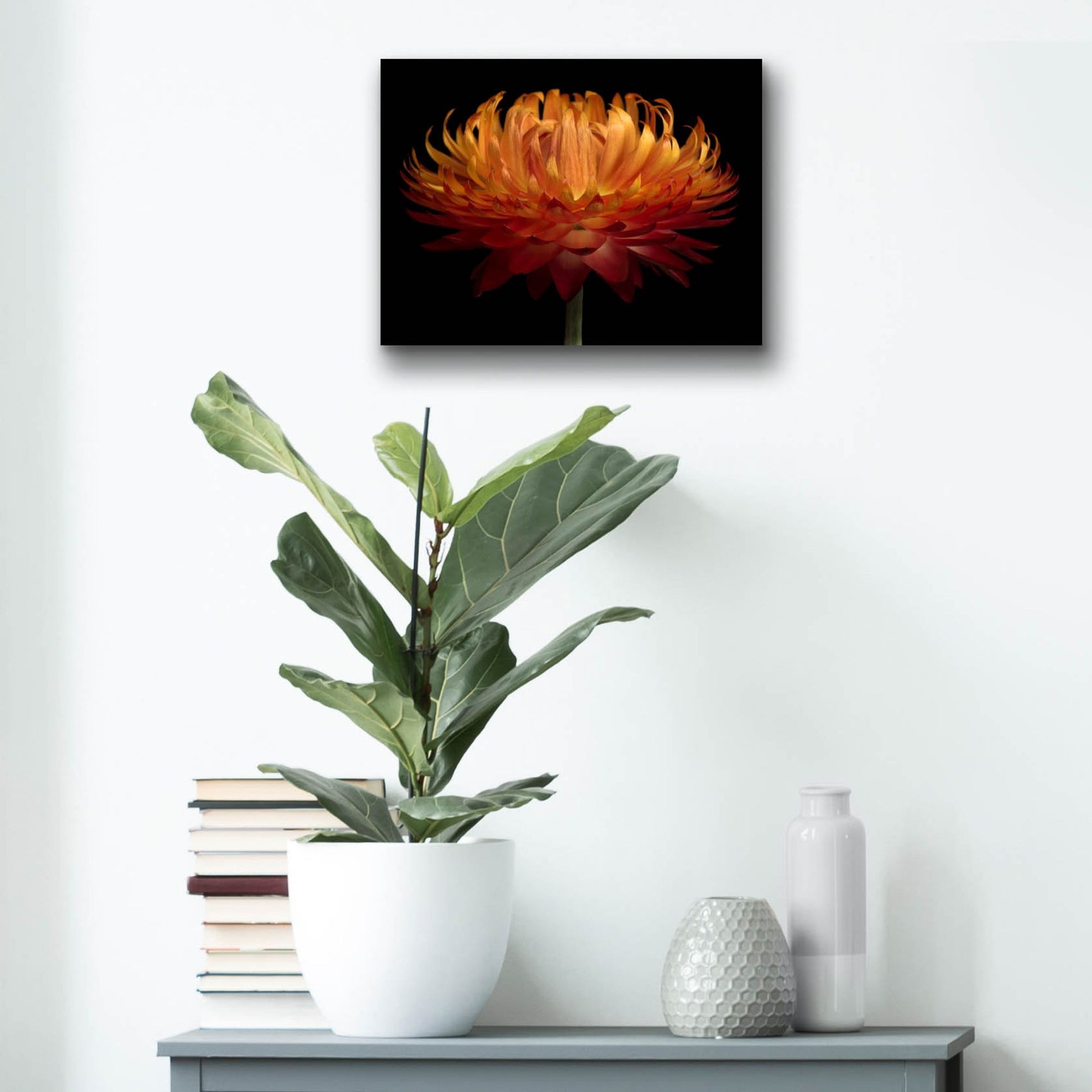 Epic Art 'Orange Flower on Black' by Tom Quartermaine, Acrylic Glass Wall Art,16x12