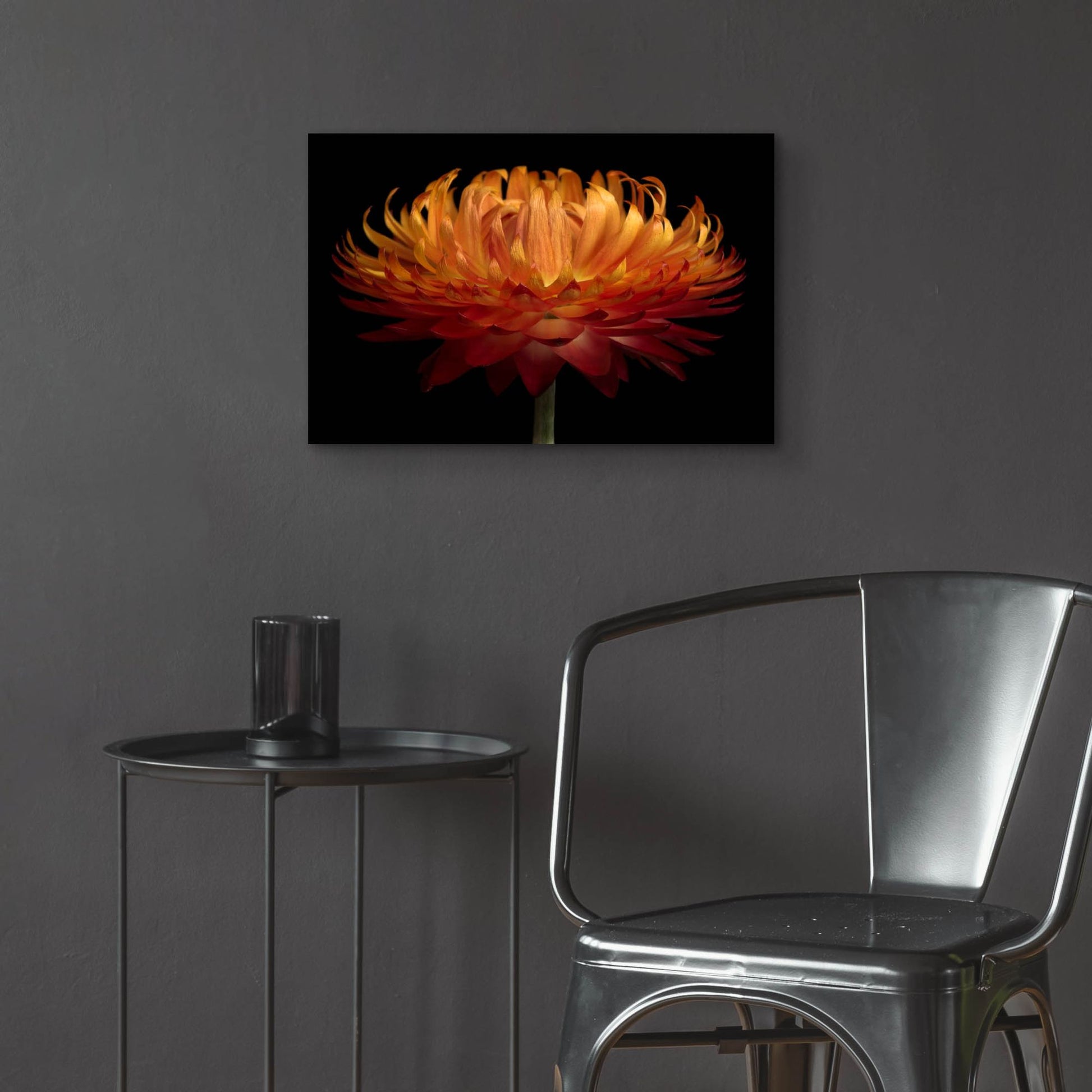 Epic Art 'Orange Flower on Black' by Tom Quartermaine, Acrylic Glass Wall Art,24x16