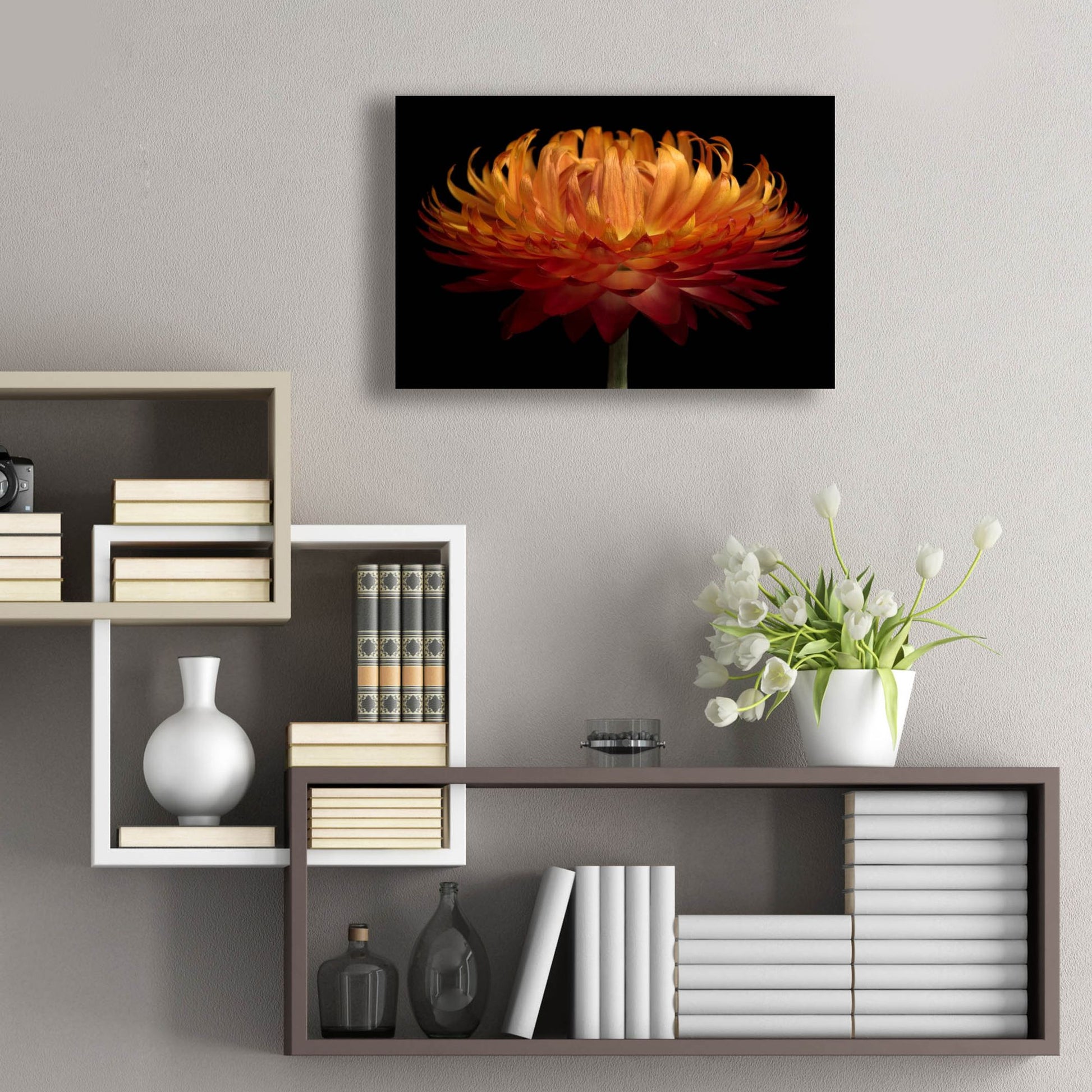 Epic Art 'Orange Flower on Black' by Tom Quartermaine, Acrylic Glass Wall Art,24x16