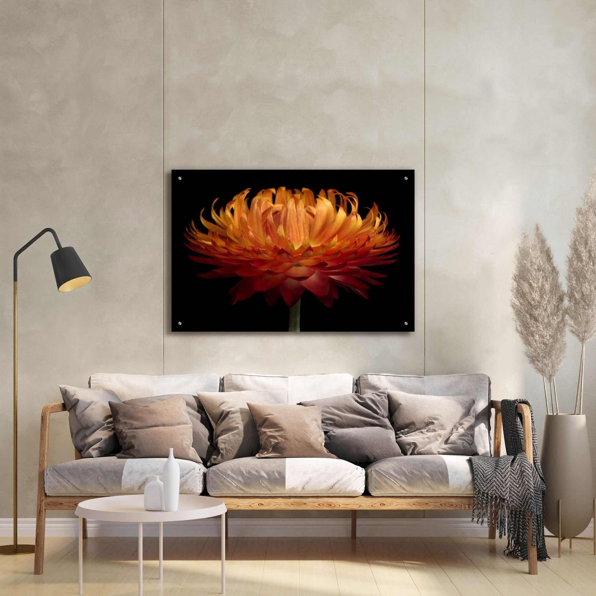 Epic Art 'Orange Flower on Black' by Tom Quartermaine, Acrylic Glass Wall Art,36x24