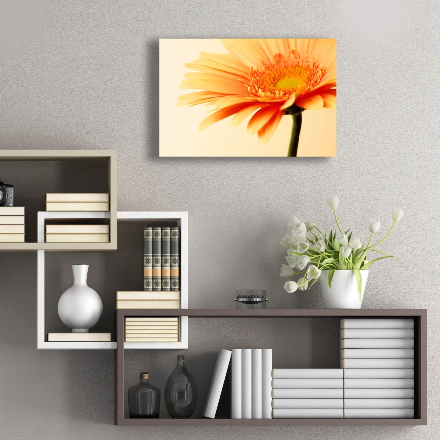 Epic Art 'Orange Flower on Orange' by Tom Quartermaine, Acrylic Glass Wall Art,24x16