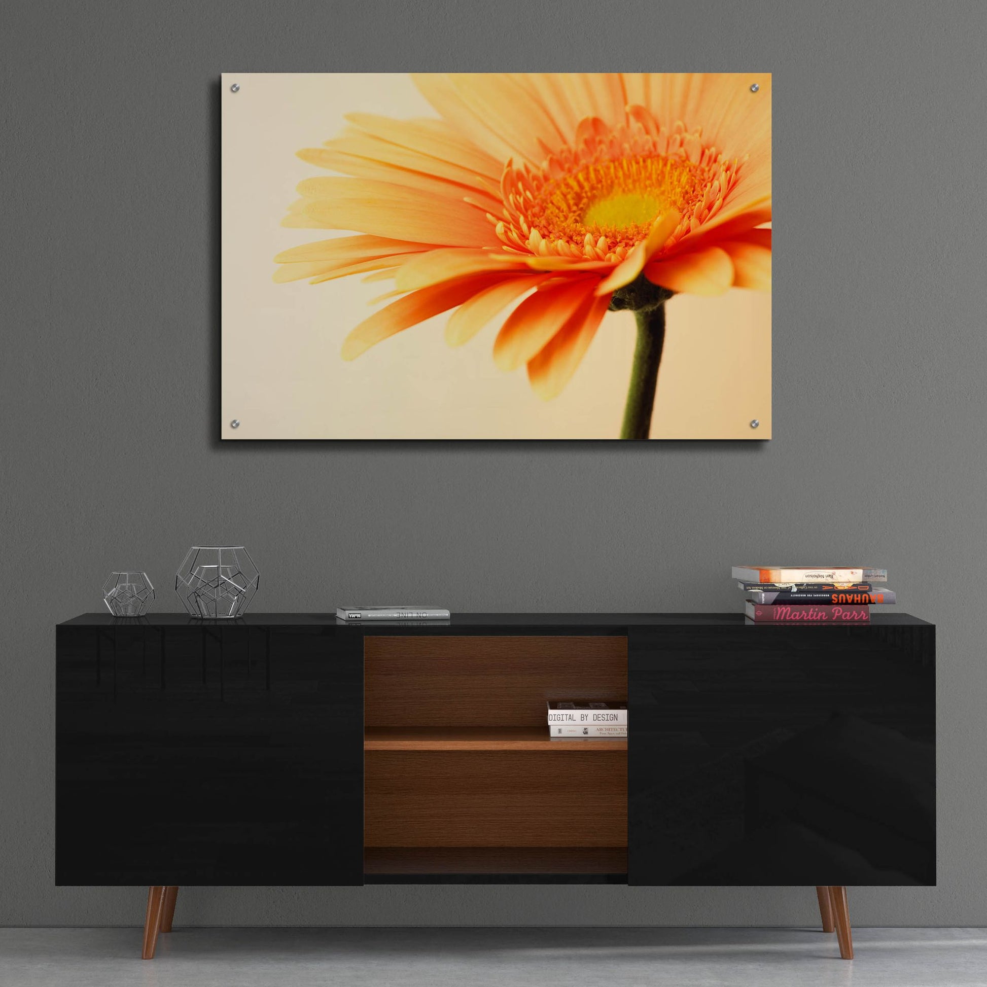 Epic Art 'Orange Flower on Orange' by Tom Quartermaine, Acrylic Glass Wall Art,36x24