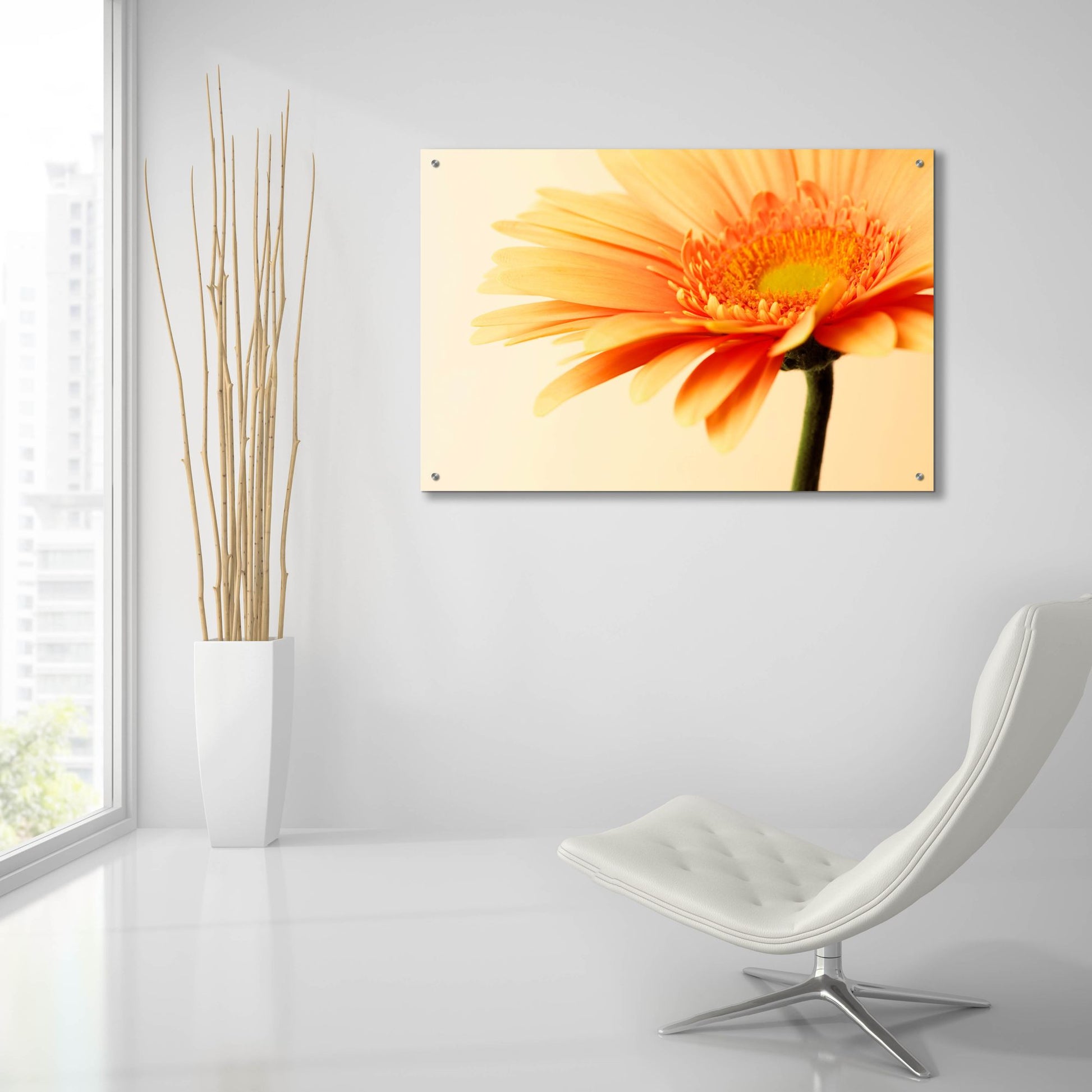 Epic Art 'Orange Flower on Orange' by Tom Quartermaine, Acrylic Glass Wall Art,36x24