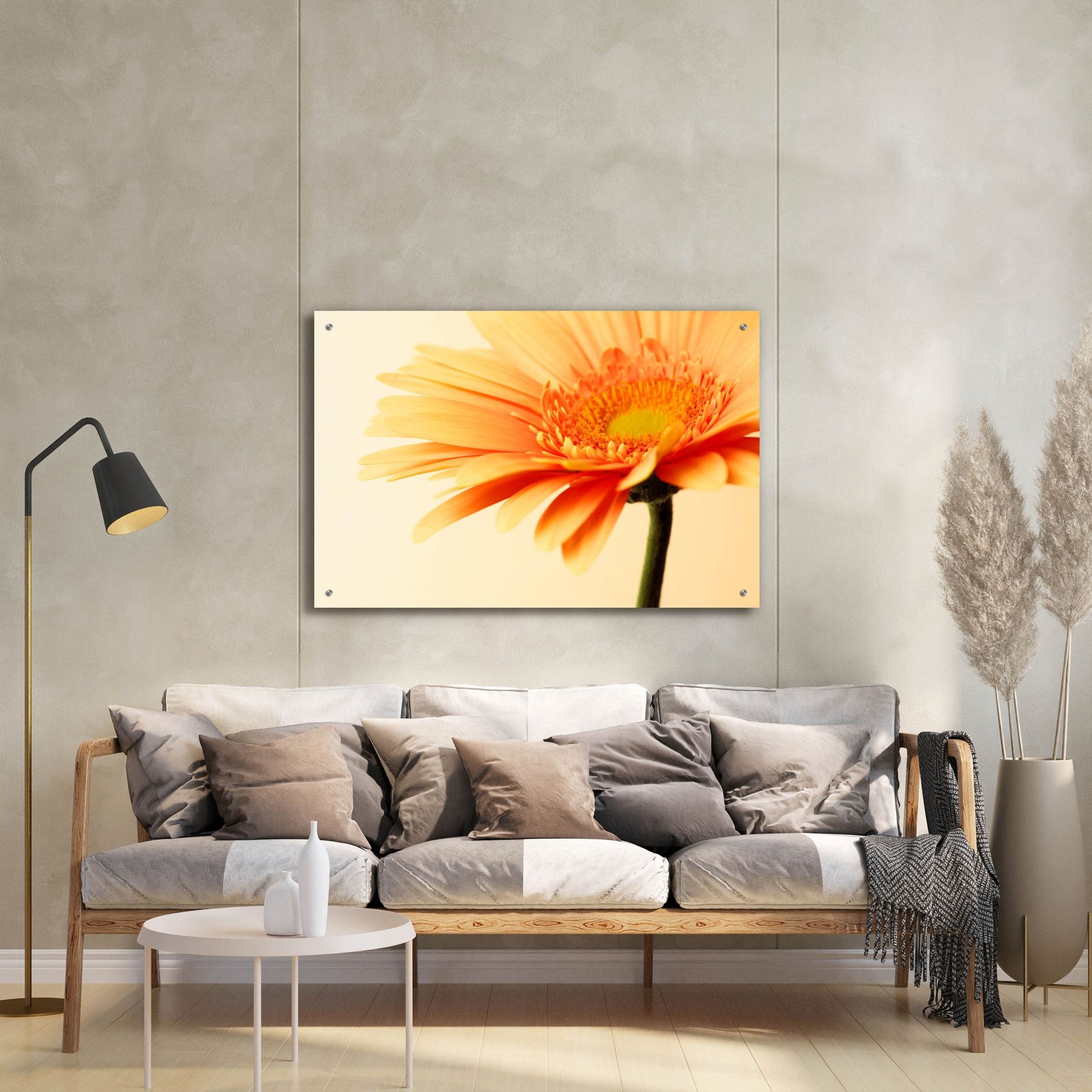 Epic Art 'Orange Flower on Orange' by Tom Quartermaine, Acrylic Glass Wall Art,36x24