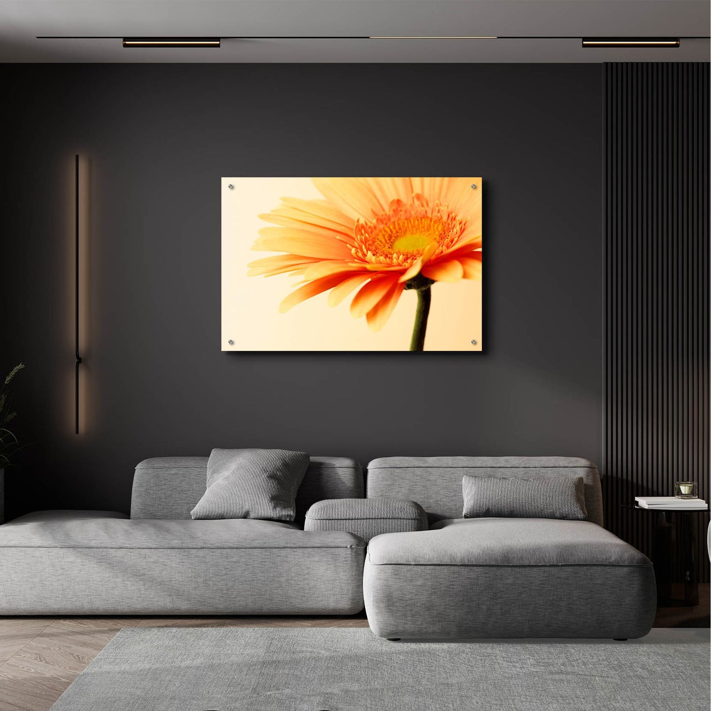 Epic Art 'Orange Flower on Orange' by Tom Quartermaine, Acrylic Glass Wall Art,36x24