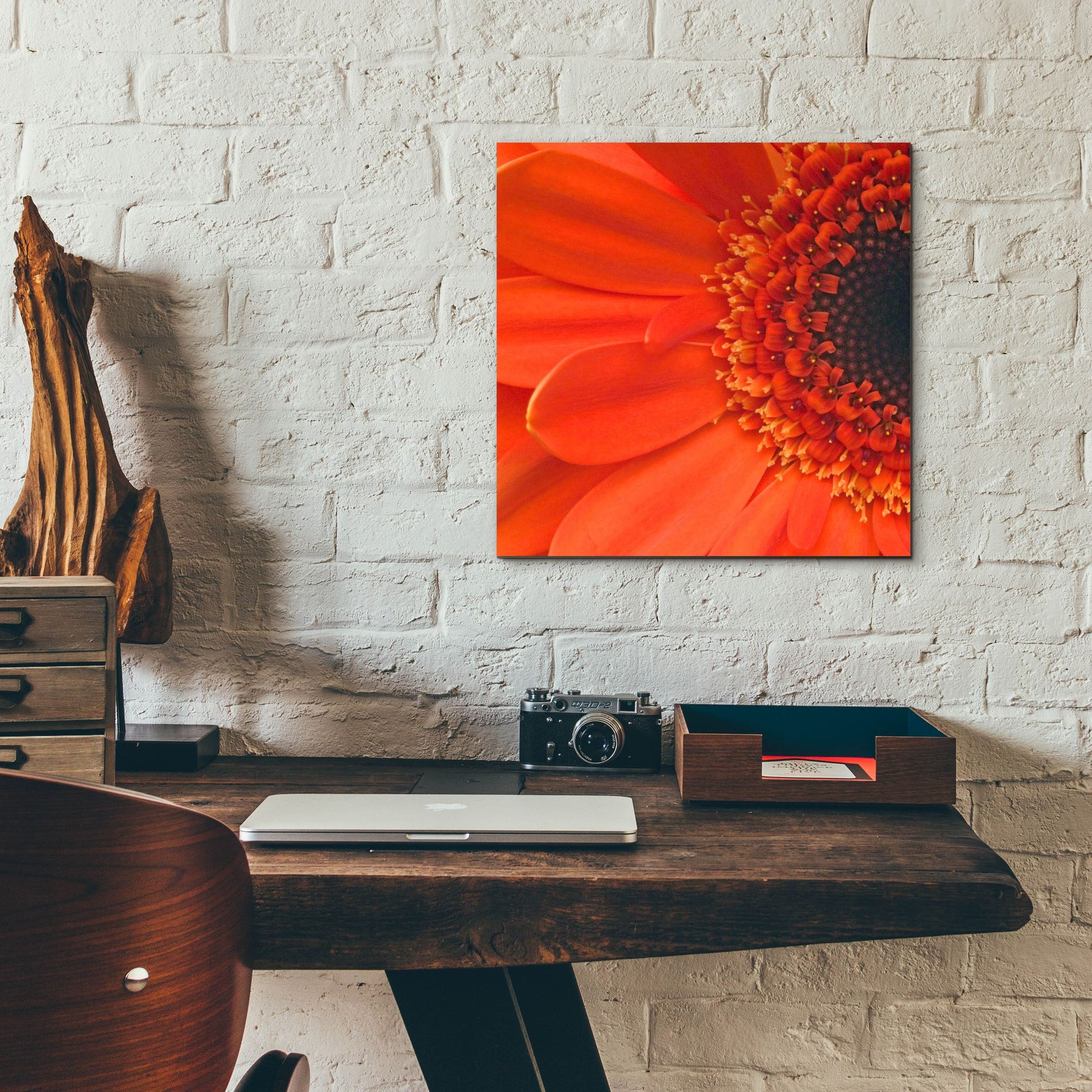 Epic Art 'Orange Gerbera Close up' by Tom Quartermaine, Acrylic Glass Wall Art,12x12