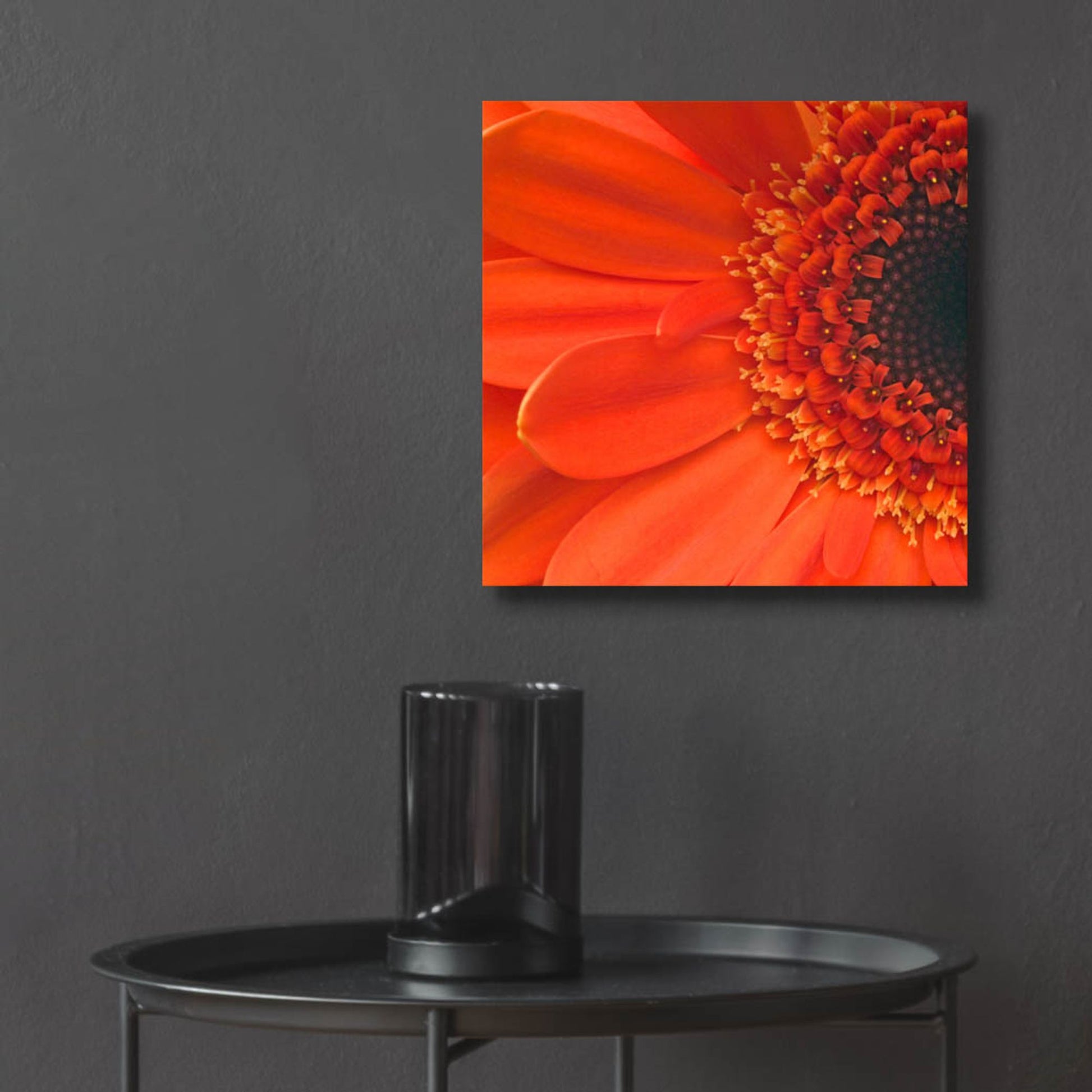 Epic Art 'Orange Gerbera Close up' by Tom Quartermaine, Acrylic Glass Wall Art,12x12