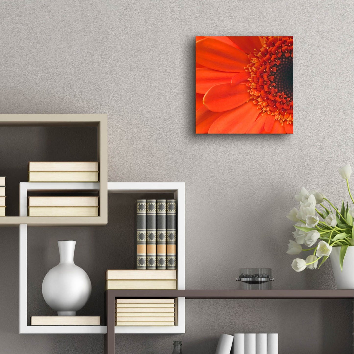 Epic Art 'Orange Gerbera Close up' by Tom Quartermaine, Acrylic Glass Wall Art,12x12