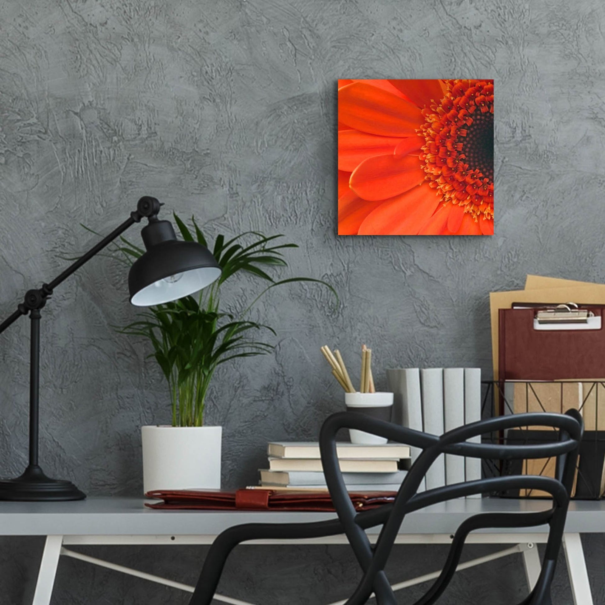 Epic Art 'Orange Gerbera Close up' by Tom Quartermaine, Acrylic Glass Wall Art,12x12