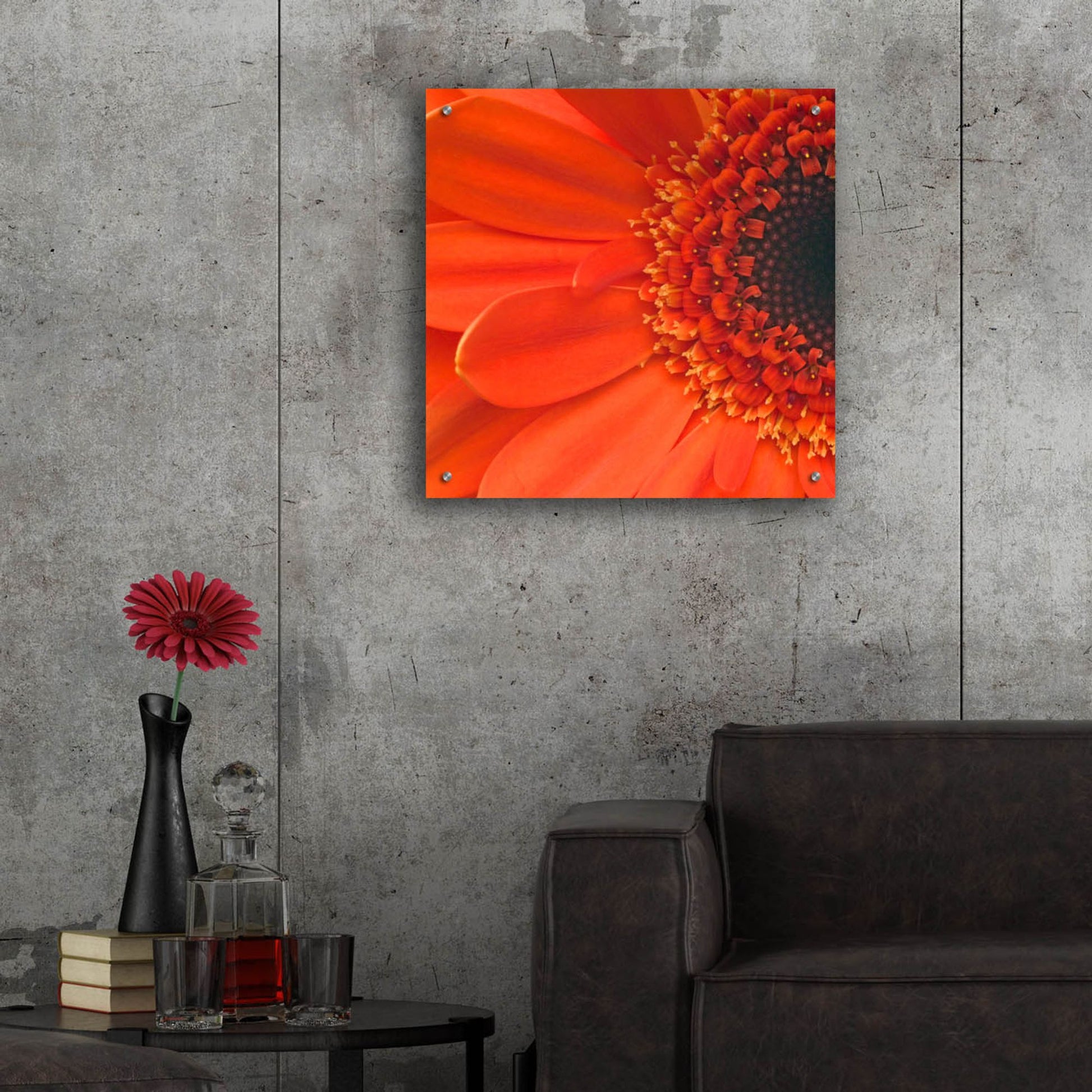 Epic Art 'Orange Gerbera Close up' by Tom Quartermaine, Acrylic Glass Wall Art,24x24