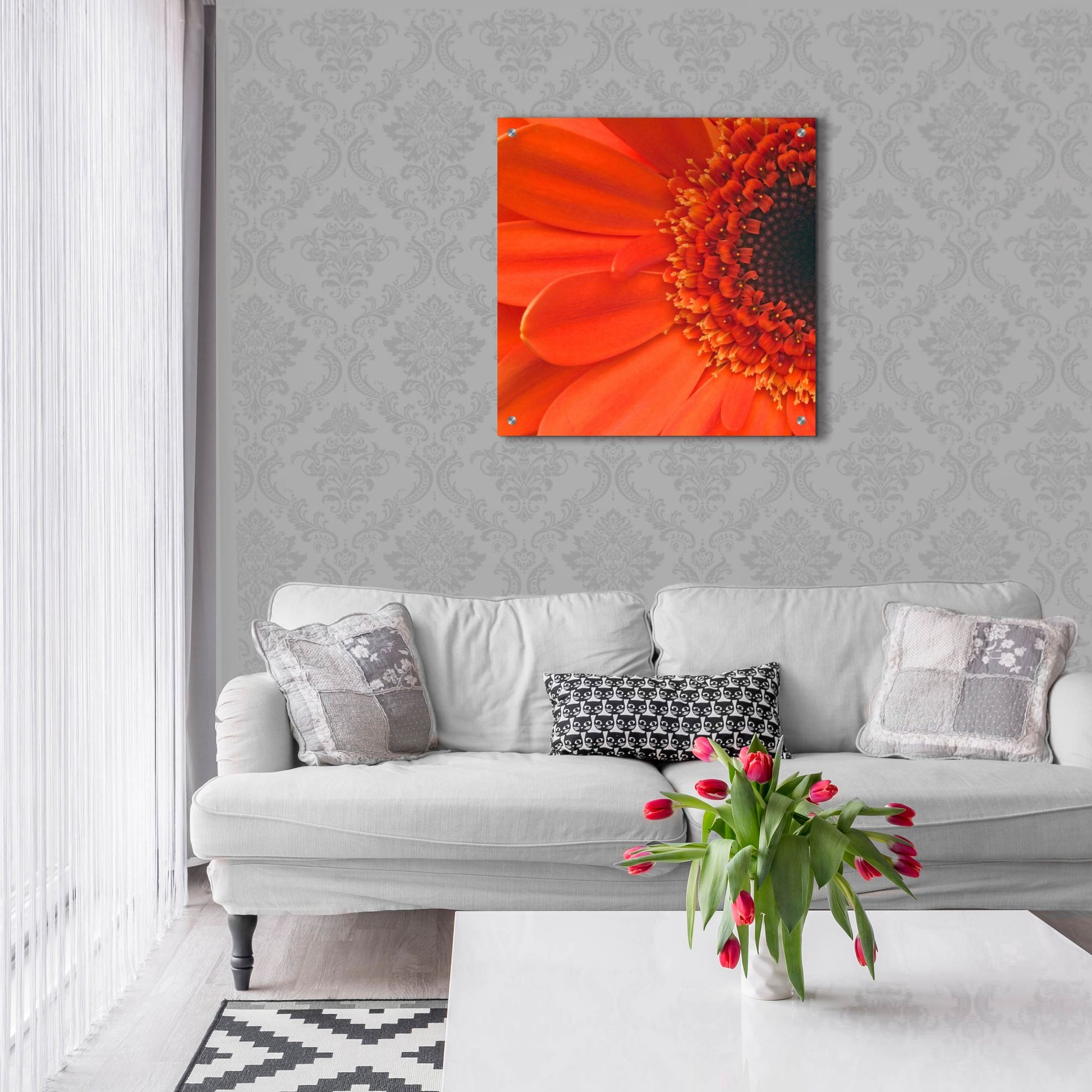 Epic Art 'Orange Gerbera Close up' by Tom Quartermaine, Acrylic Glass Wall Art,24x24