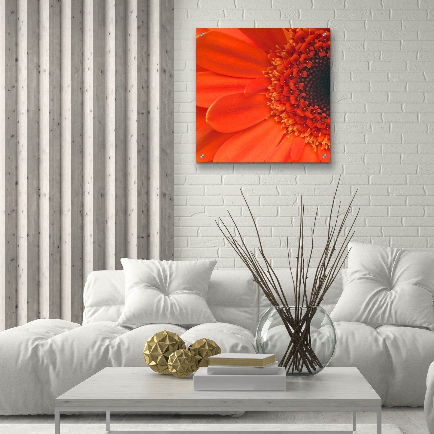 Epic Art 'Orange Gerbera Close up' by Tom Quartermaine, Acrylic Glass Wall Art,24x24