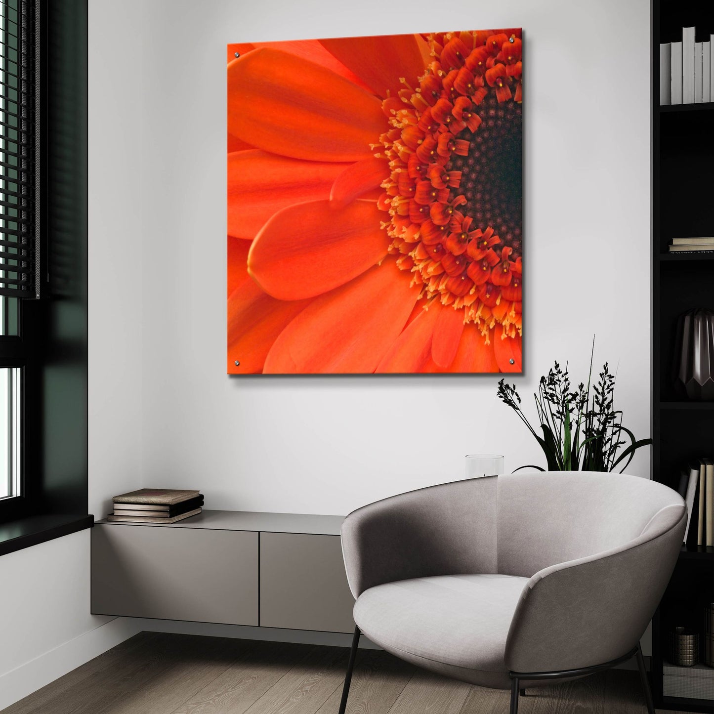 Epic Art 'Orange Gerbera Close up' by Tom Quartermaine, Acrylic Glass Wall Art,36x36