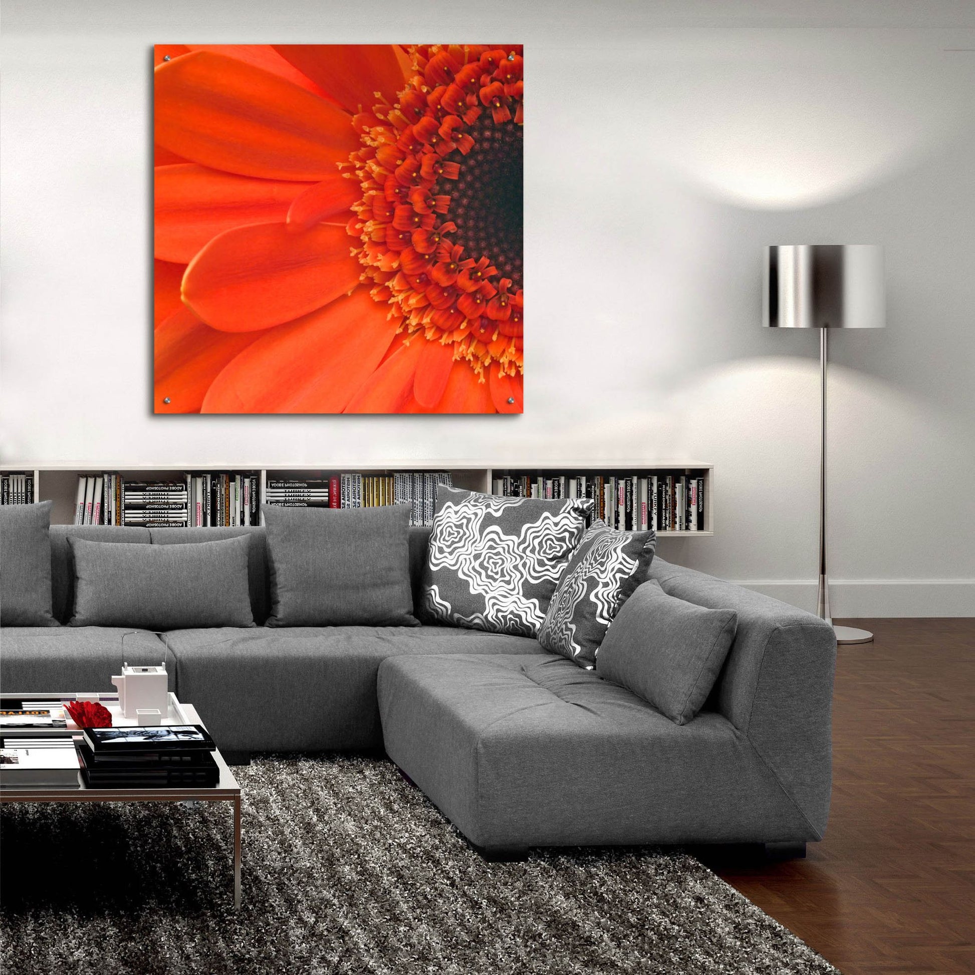 Epic Art 'Orange Gerbera Close up' by Tom Quartermaine, Acrylic Glass Wall Art,36x36