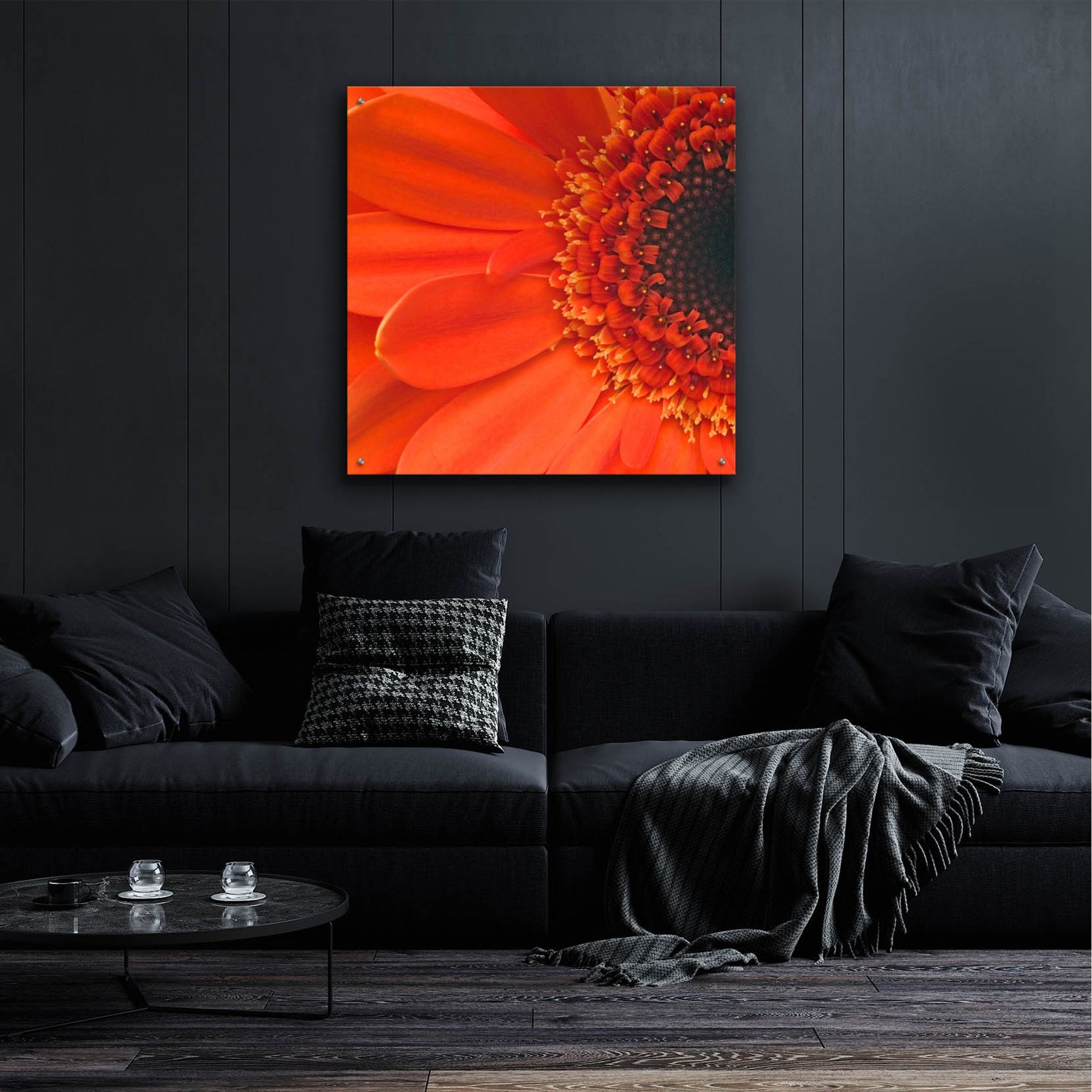 Epic Art 'Orange Gerbera Close up' by Tom Quartermaine, Acrylic Glass Wall Art,36x36