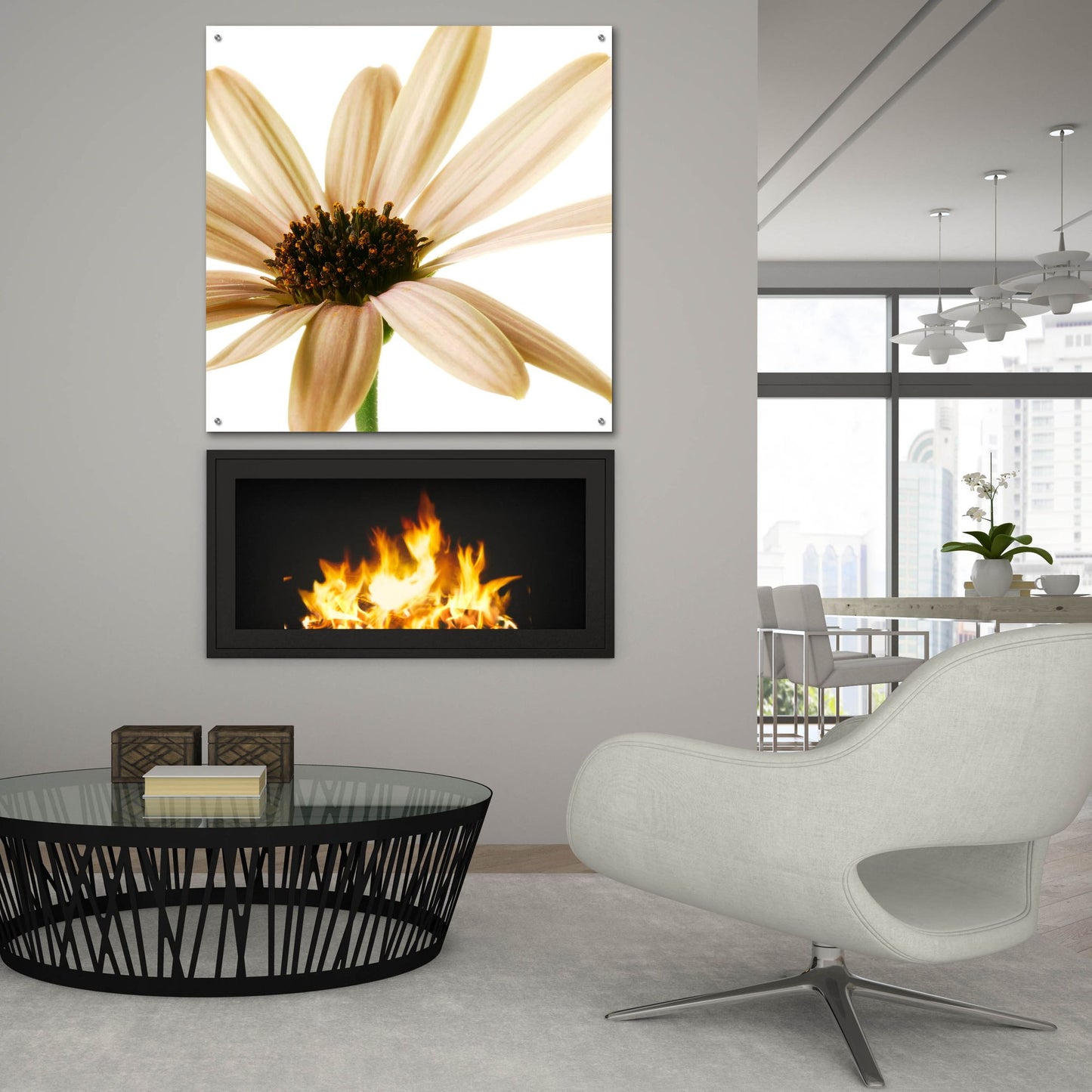 Epic Art 'Osteospurmum on White 01' by Tom Quartermaine, Acrylic Glass Wall Art,36x36