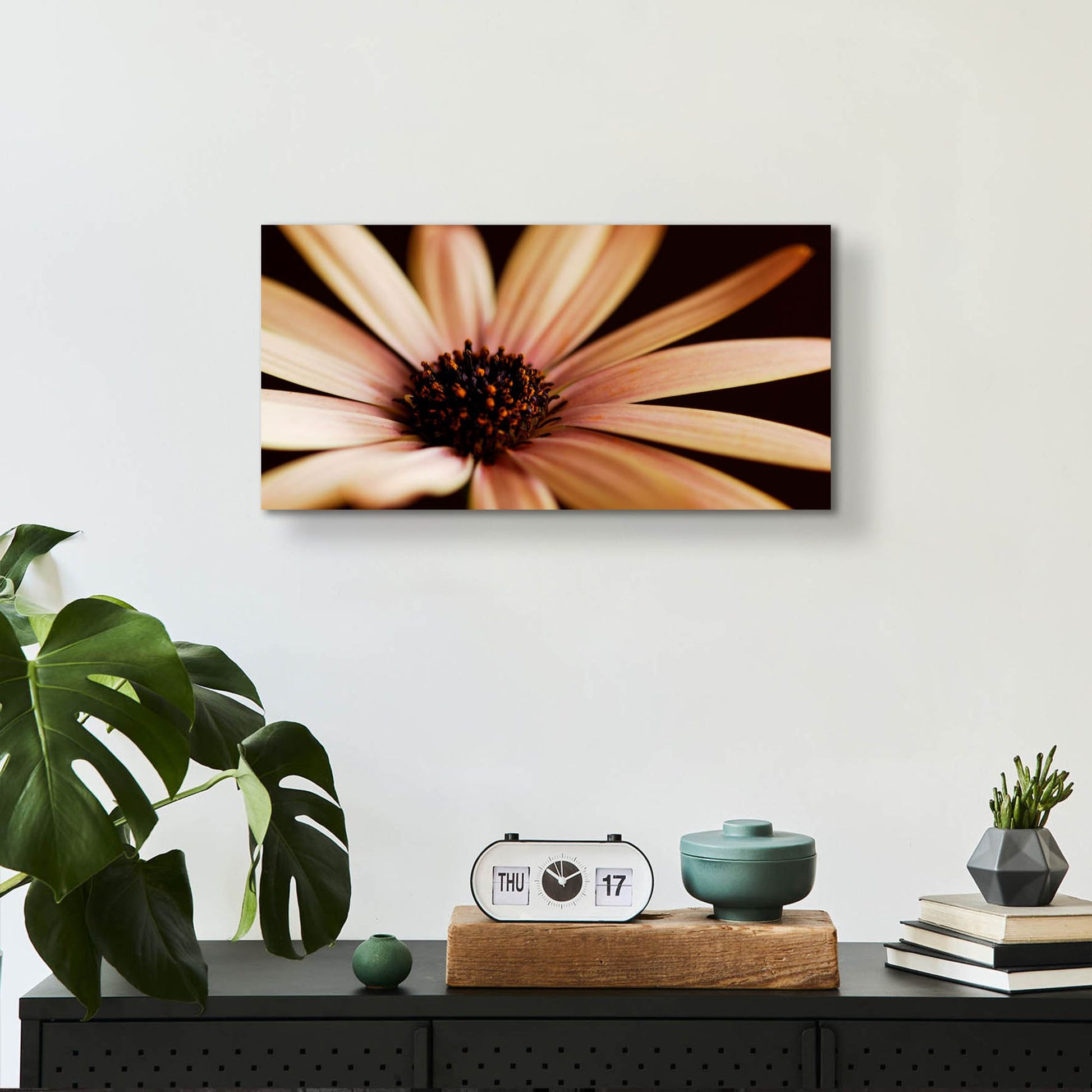 Epic Art 'Osteospurmum on Black 02' by Tom Quartermaine, Acrylic Glass Wall Art,24x12