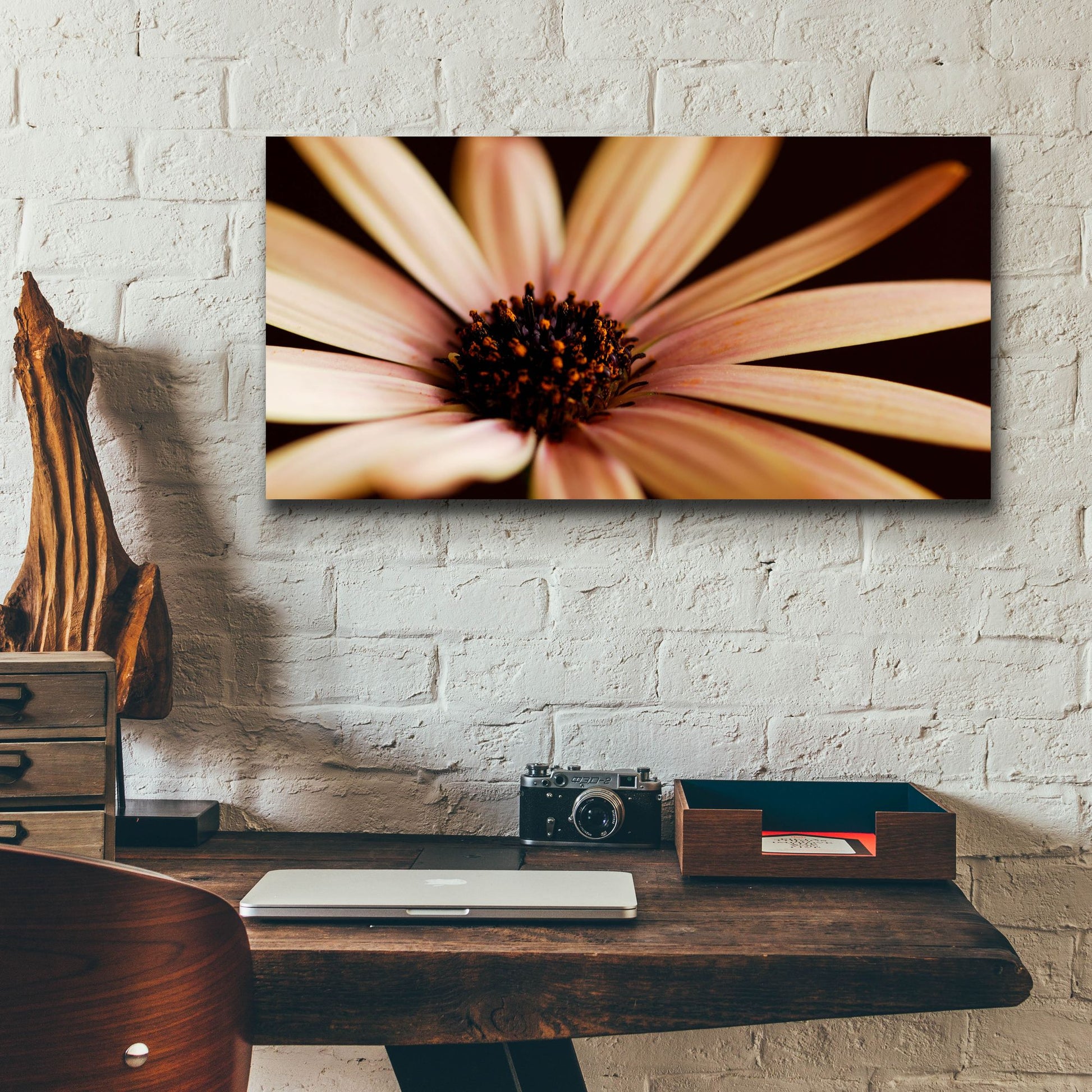 Epic Art 'Osteospurmum on Black 02' by Tom Quartermaine, Acrylic Glass Wall Art,24x12