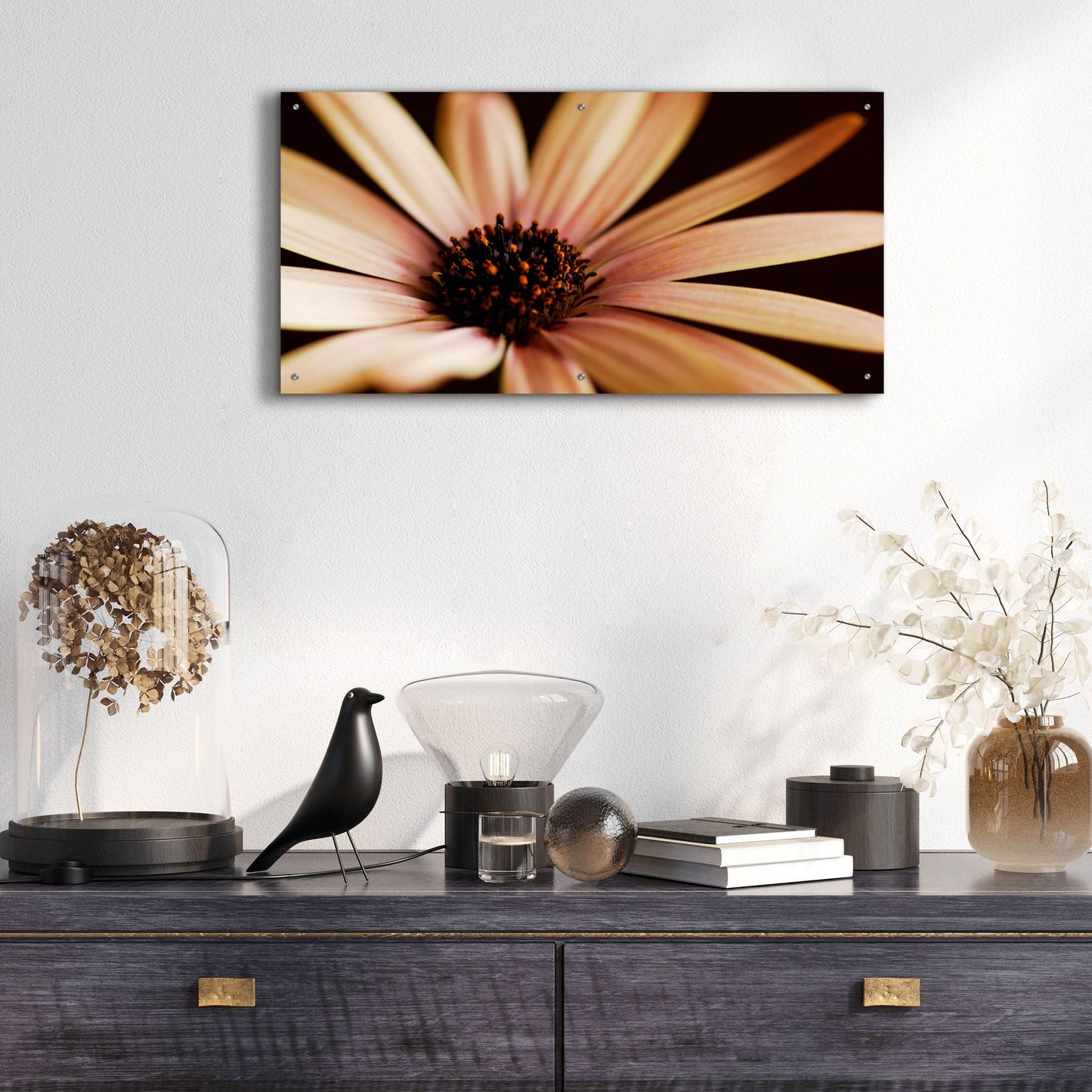 Epic Art 'Osteospurmum on Black 02' by Tom Quartermaine, Acrylic Glass Wall Art,48x24