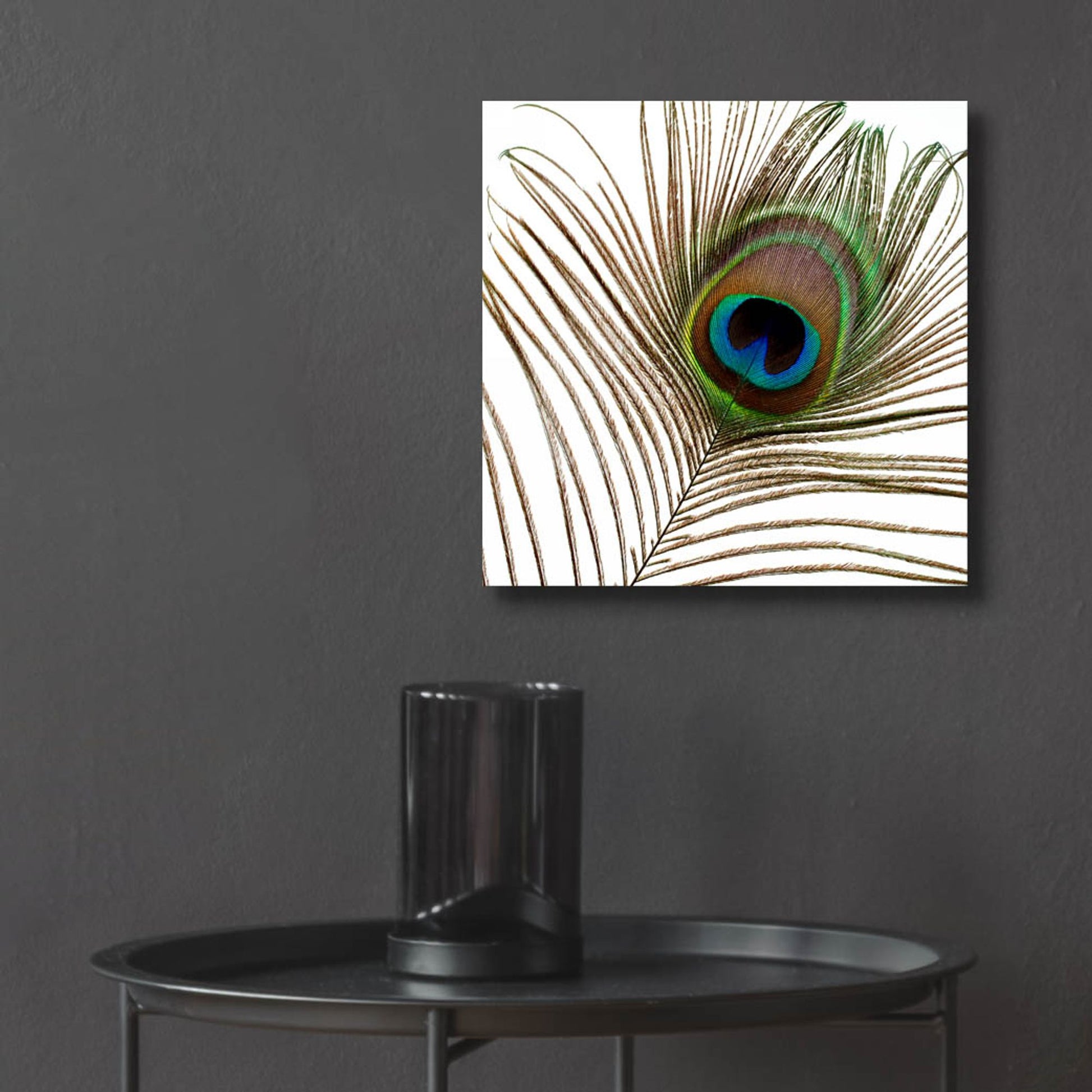 Epic Art 'Peacock Feather 01' by Tom Quartermaine, Acrylic Glass Wall Art,12x12