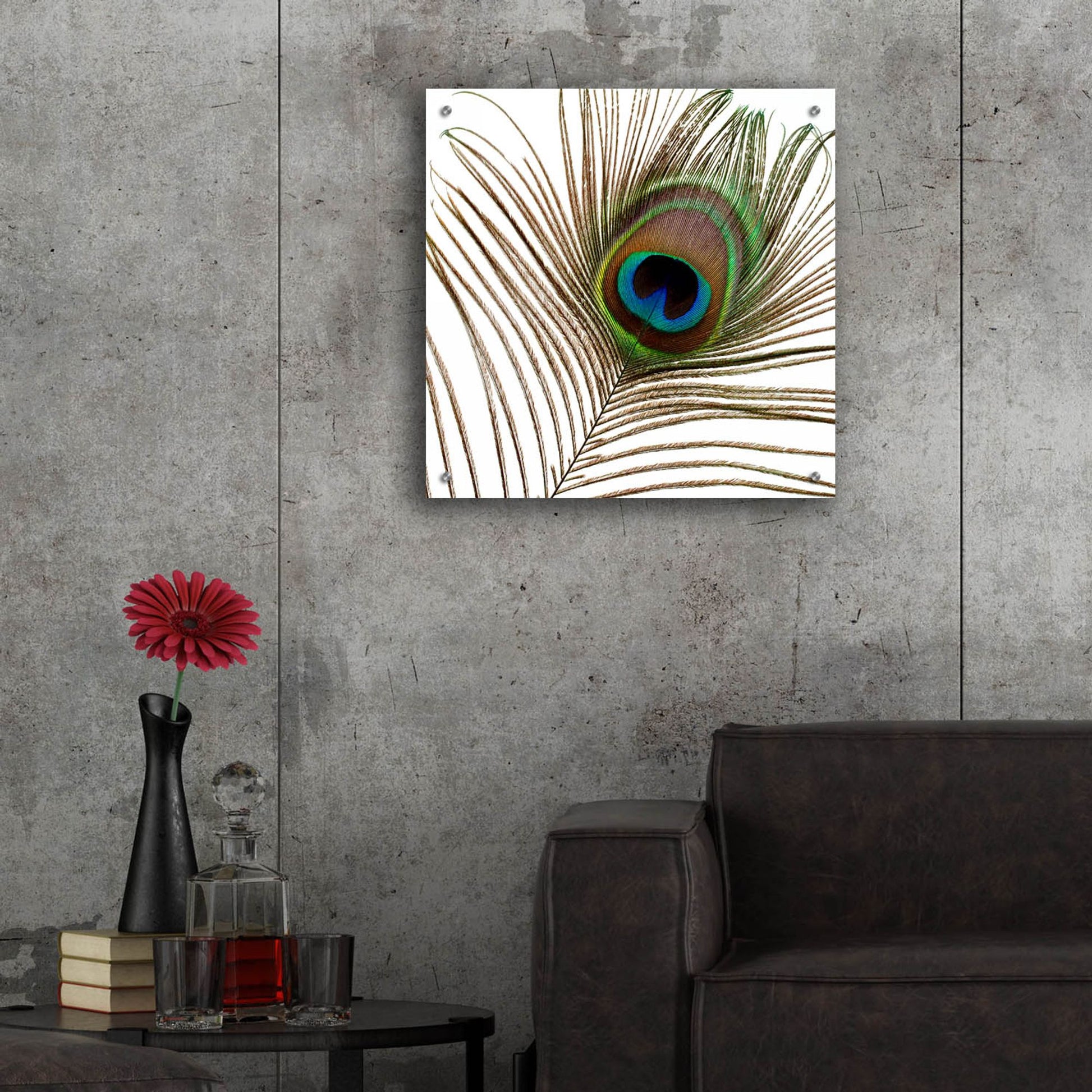 Epic Art 'Peacock Feather 01' by Tom Quartermaine, Acrylic Glass Wall Art,24x24