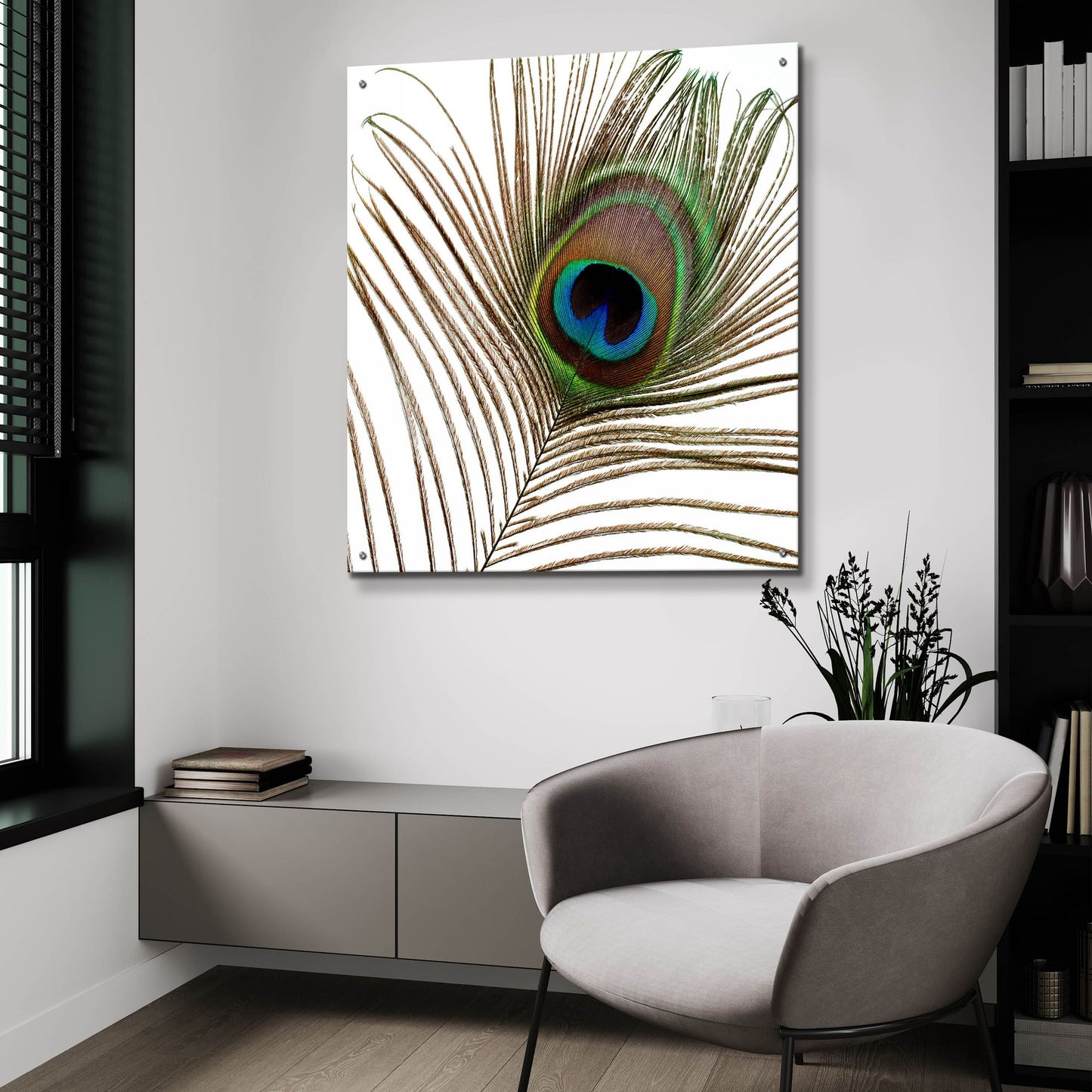 Epic Art 'Peacock Feather 01' by Tom Quartermaine, Acrylic Glass Wall Art,36x36