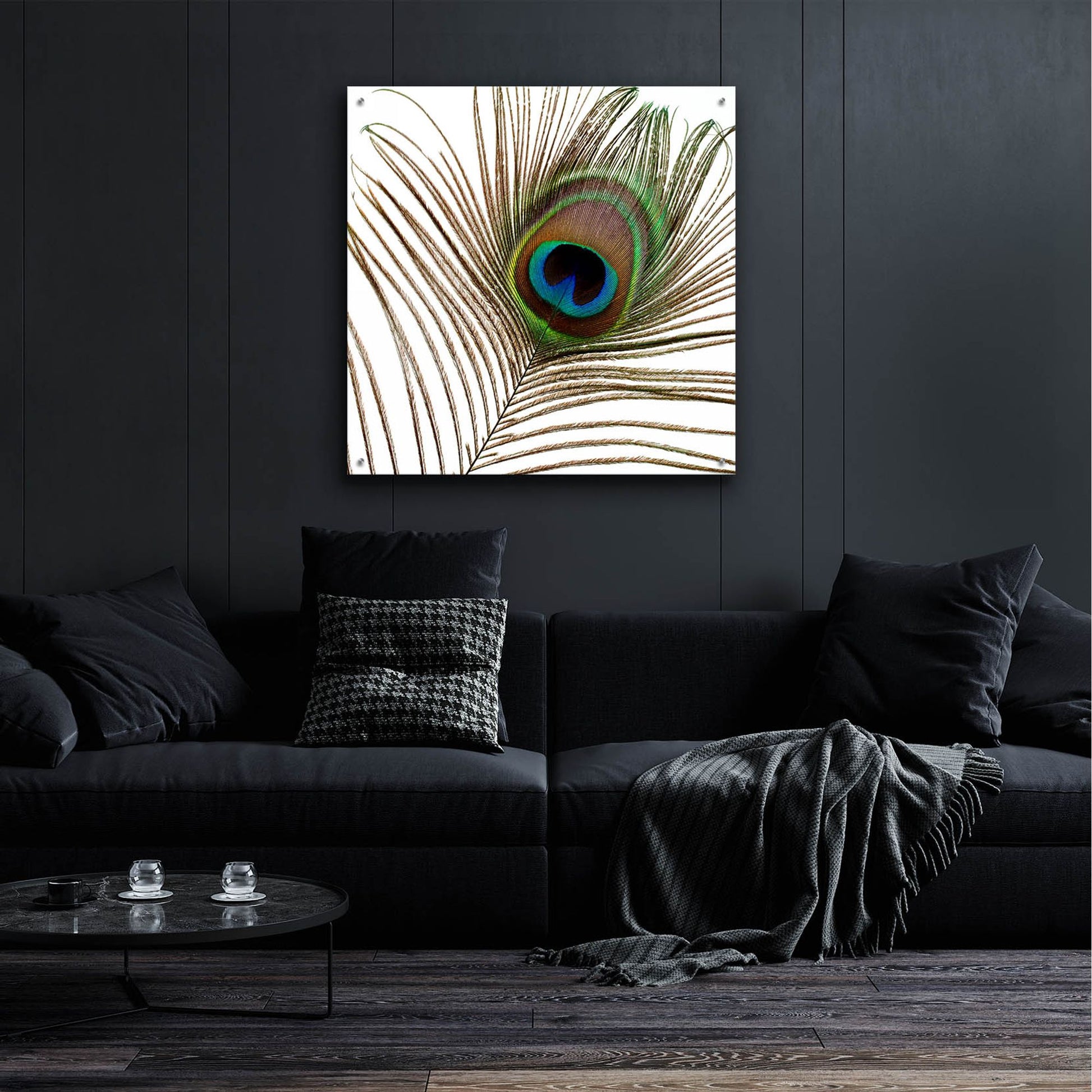 Epic Art 'Peacock Feather 01' by Tom Quartermaine, Acrylic Glass Wall Art,36x36