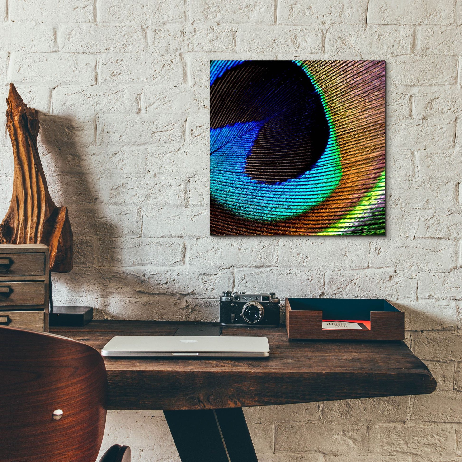 Epic Art 'Peacock Feather 02' by Tom Quartermaine, Acrylic Glass Wall Art,12x12