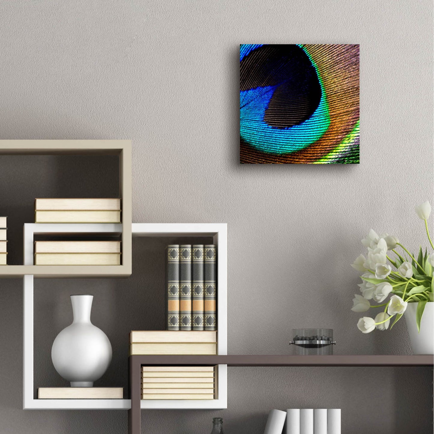 Epic Art 'Peacock Feather 02' by Tom Quartermaine, Acrylic Glass Wall Art,12x12