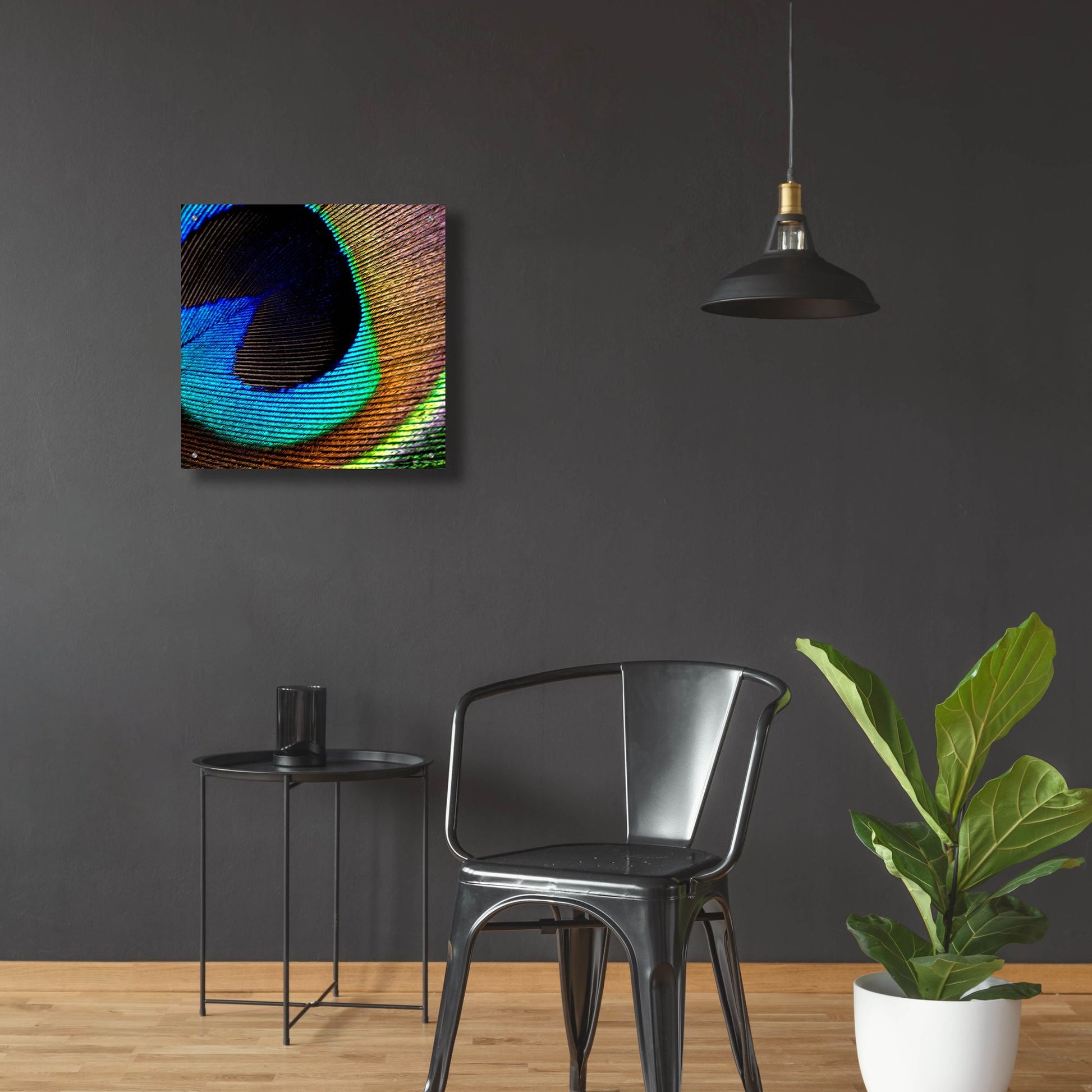 Epic Art 'Peacock Feather 02' by Tom Quartermaine, Acrylic Glass Wall Art,24x24