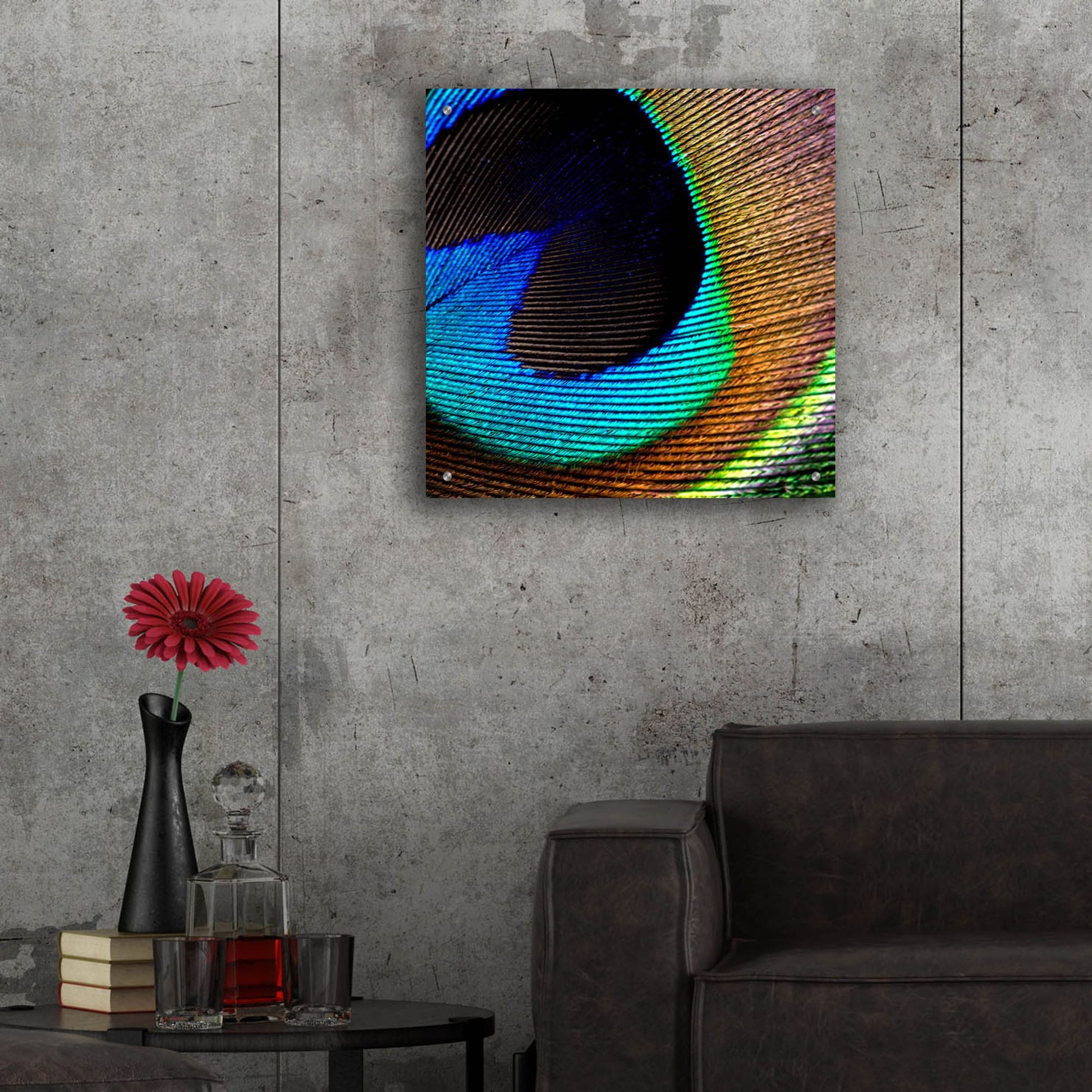 Epic Art 'Peacock Feather 02' by Tom Quartermaine, Acrylic Glass Wall Art,24x24