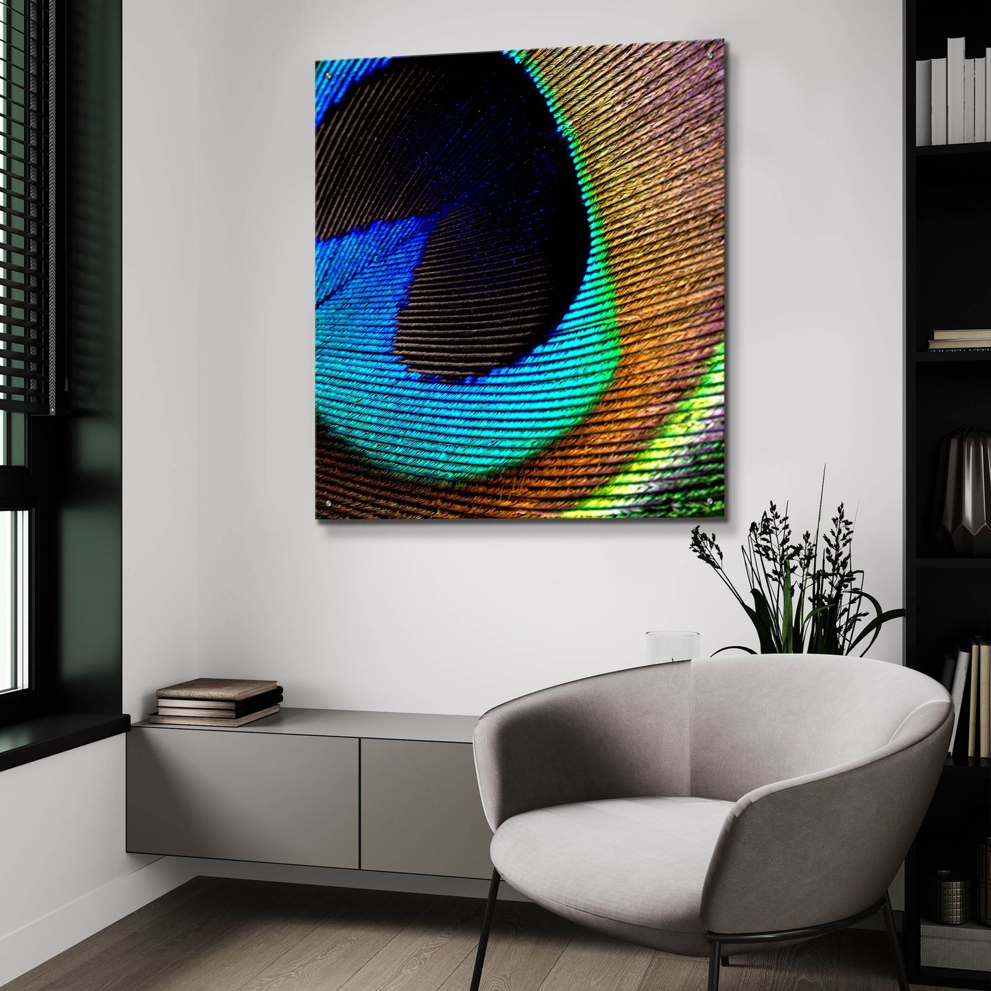 Epic Art 'Peacock Feather 02' by Tom Quartermaine, Acrylic Glass Wall Art,36x36