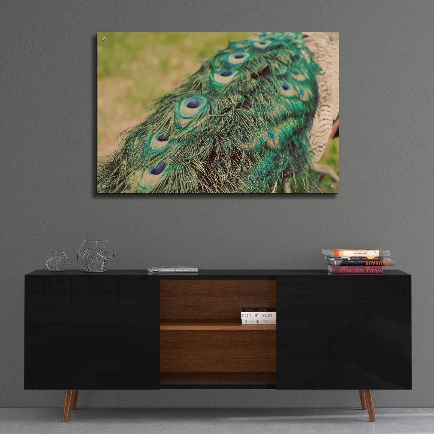 Epic Art 'Peacock Feather Tail 01' by Tom Quartermaine, Acrylic Glass Wall Art,36x24