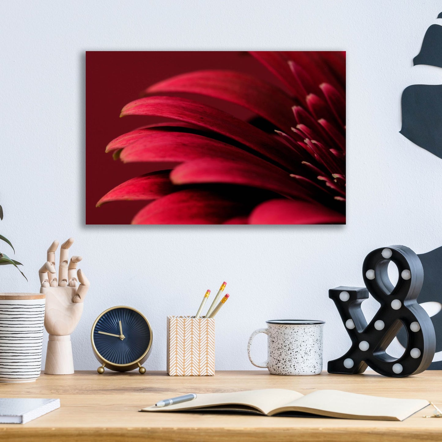 Epic Art 'Petals of a Red Gerbera' by Tom Quartermaine, Acrylic Glass Wall Art,16x12