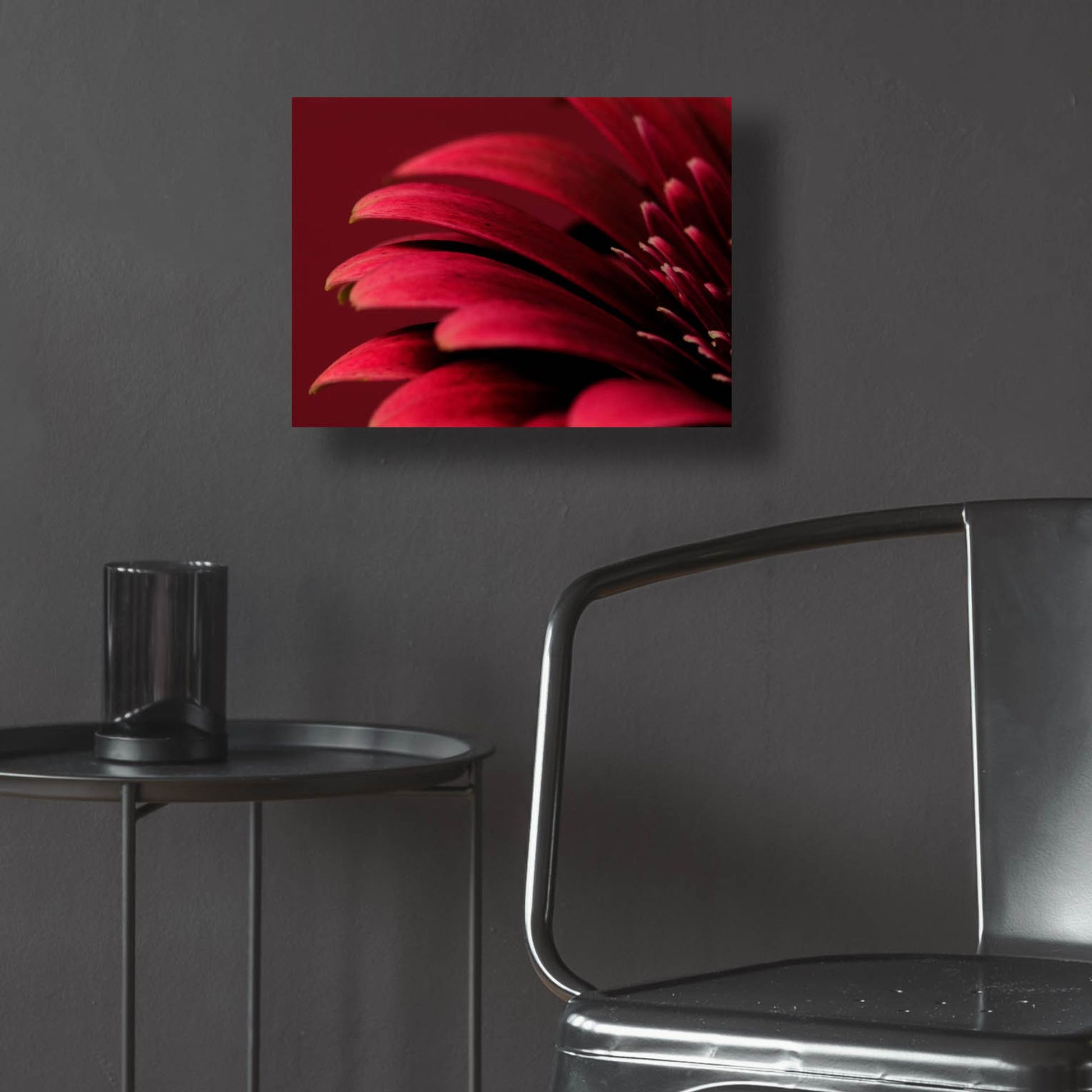 Epic Art 'Petals of a Red Gerbera' by Tom Quartermaine, Acrylic Glass Wall Art,16x12