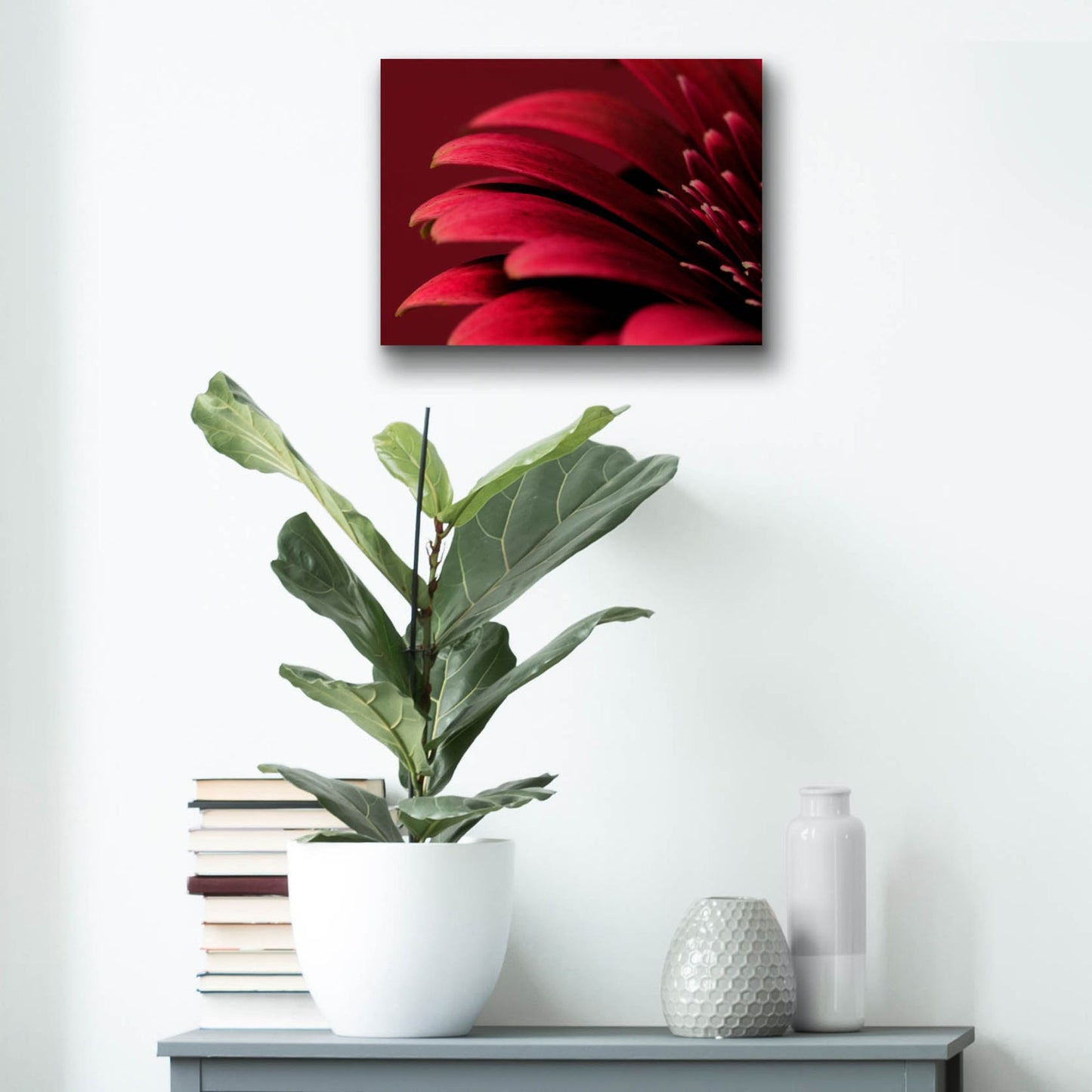 Epic Art 'Petals of a Red Gerbera' by Tom Quartermaine, Acrylic Glass Wall Art,16x12