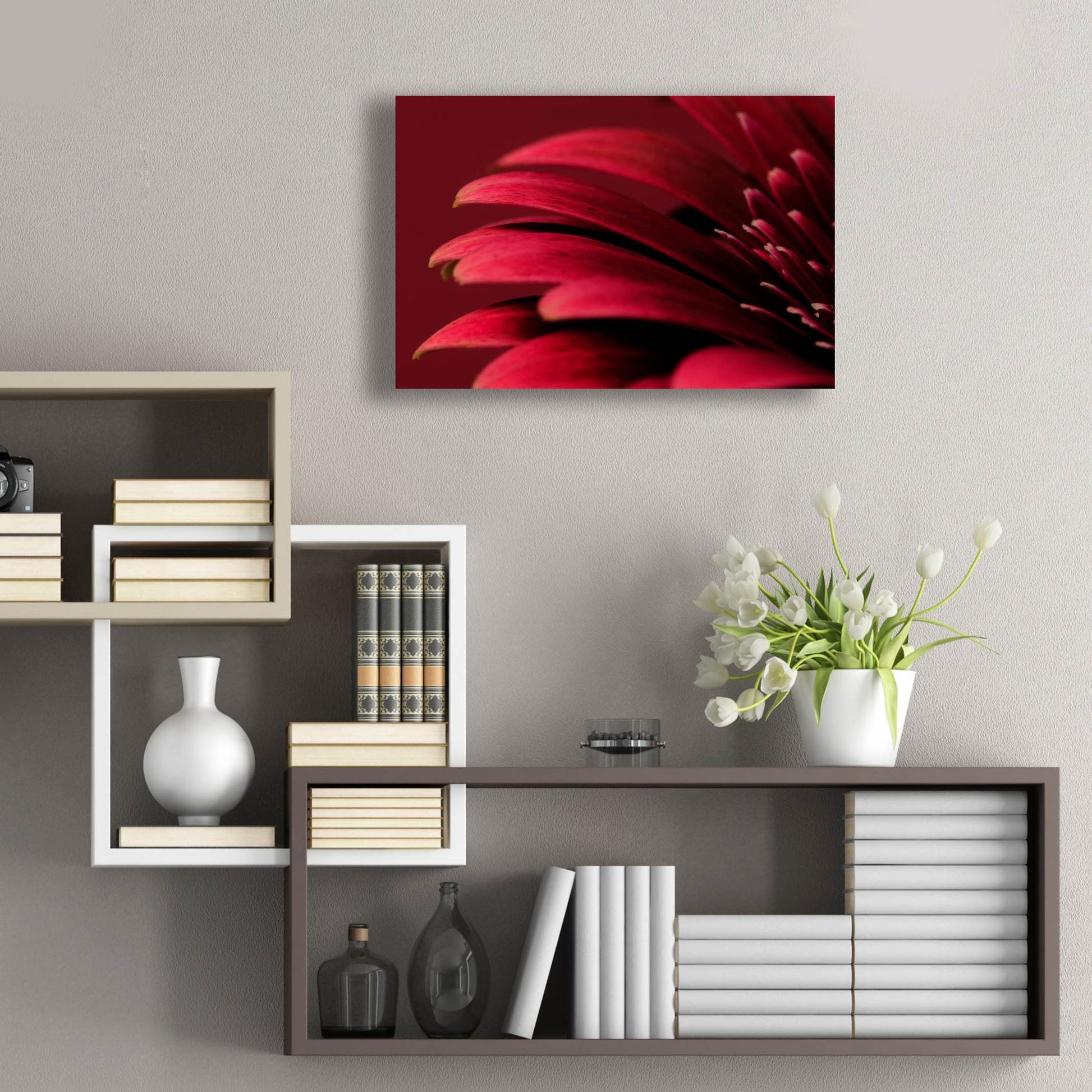 Epic Art 'Petals of a Red Gerbera' by Tom Quartermaine, Acrylic Glass Wall Art,24x16