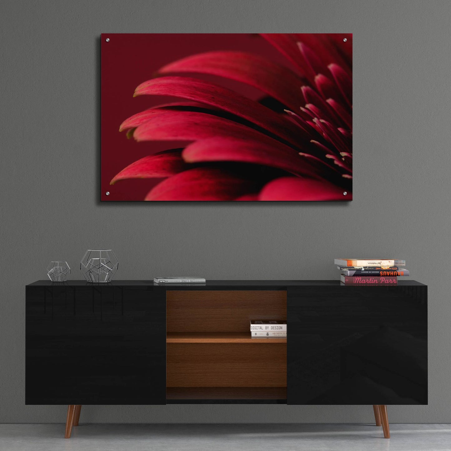 Epic Art 'Petals of a Red Gerbera' by Tom Quartermaine, Acrylic Glass Wall Art,36x24