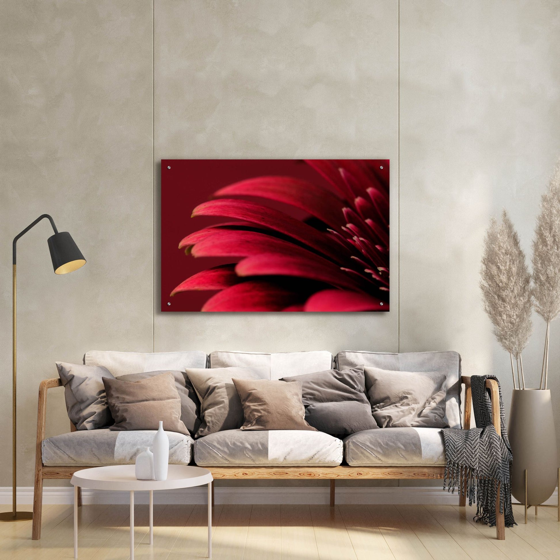 Epic Art 'Petals of a Red Gerbera' by Tom Quartermaine, Acrylic Glass Wall Art,36x24