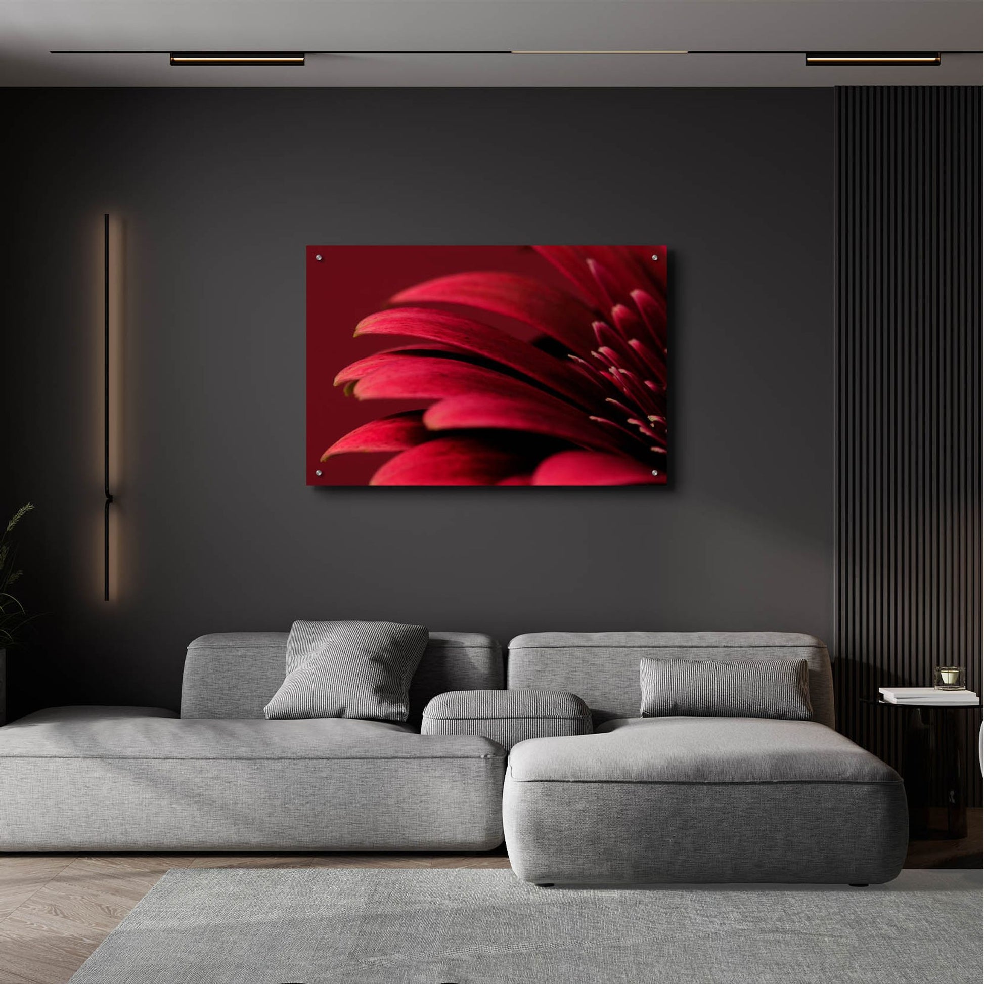 Epic Art 'Petals of a Red Gerbera' by Tom Quartermaine, Acrylic Glass Wall Art,36x24