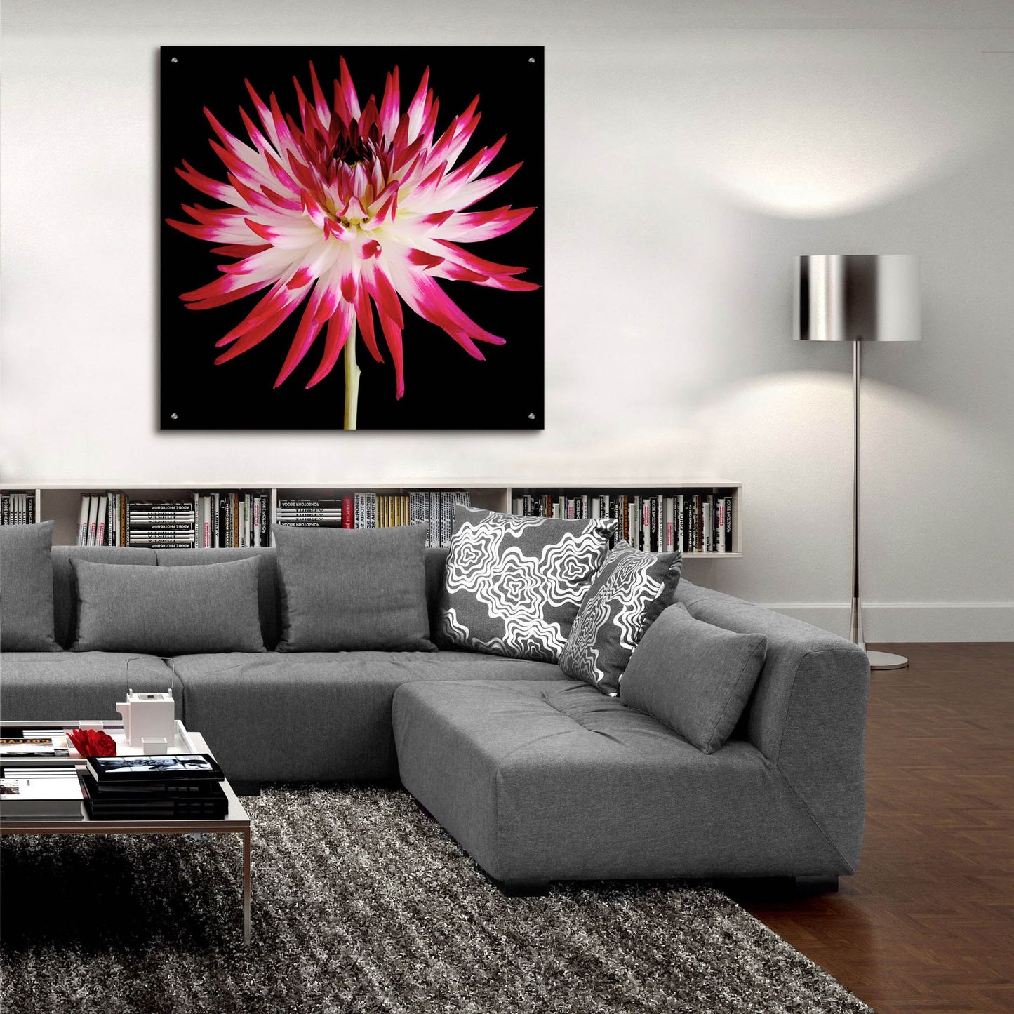 Epic Art 'Pink and White Dahlia on Black' by Tom Quartermaine, Acrylic Glass Wall Art,36x36