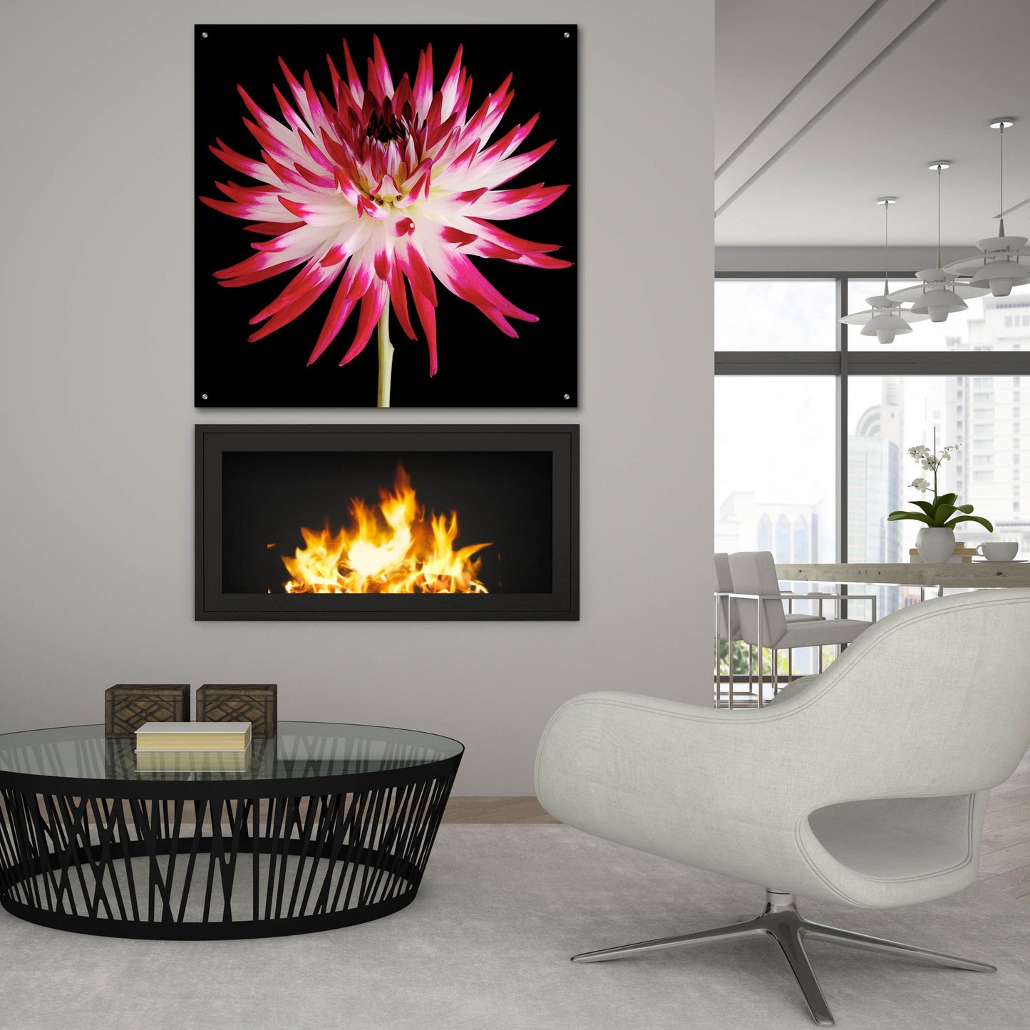 Epic Art 'Pink and White Dahlia on Black' by Tom Quartermaine, Acrylic Glass Wall Art,36x36