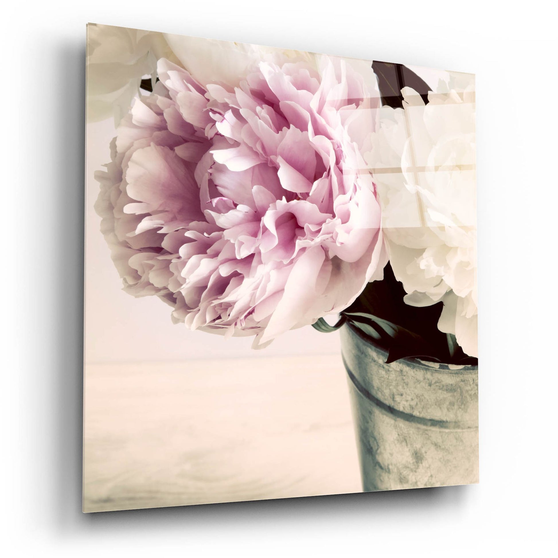 Epic Art 'Pink and White Peonies in a Vase' by Tom Quartermaine, Acrylic Glass Wall Art,12x12