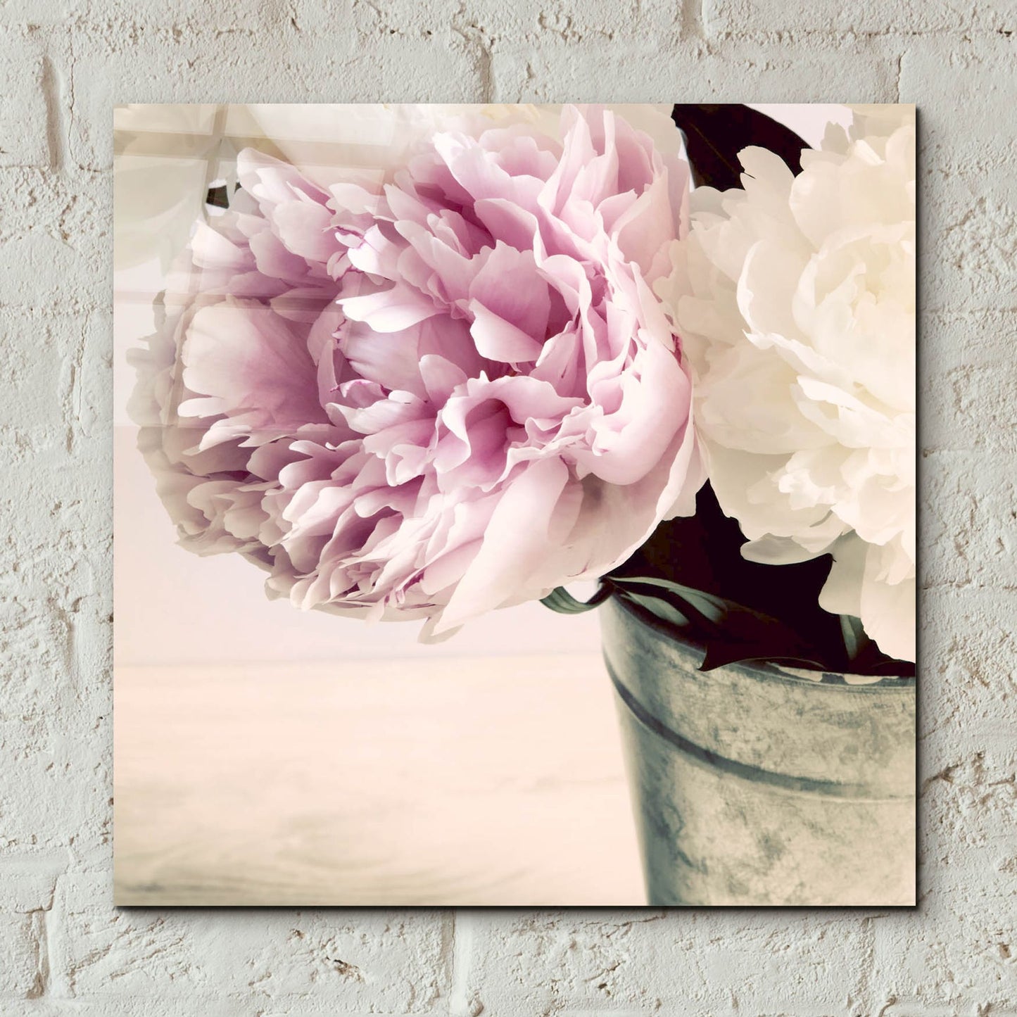 Epic Art 'Pink and White Peonies in a Vase' by Tom Quartermaine, Acrylic Glass Wall Art,12x12